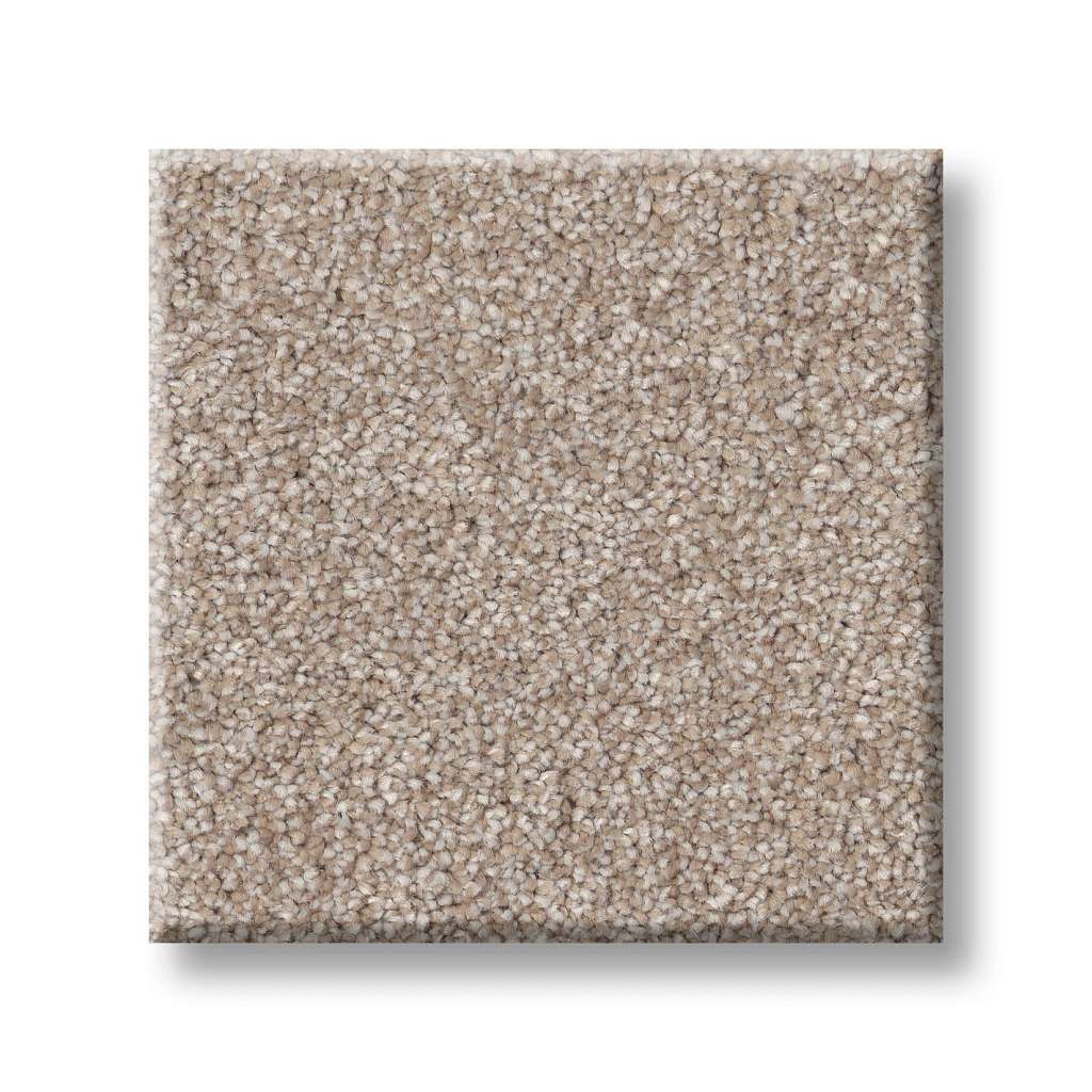 Brilliant Contact II Carpet - Baja  Swatch Image 
