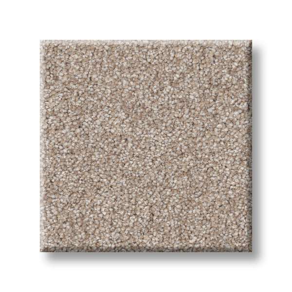 Style Brilliant Contact II Carpet - Baja Swatch