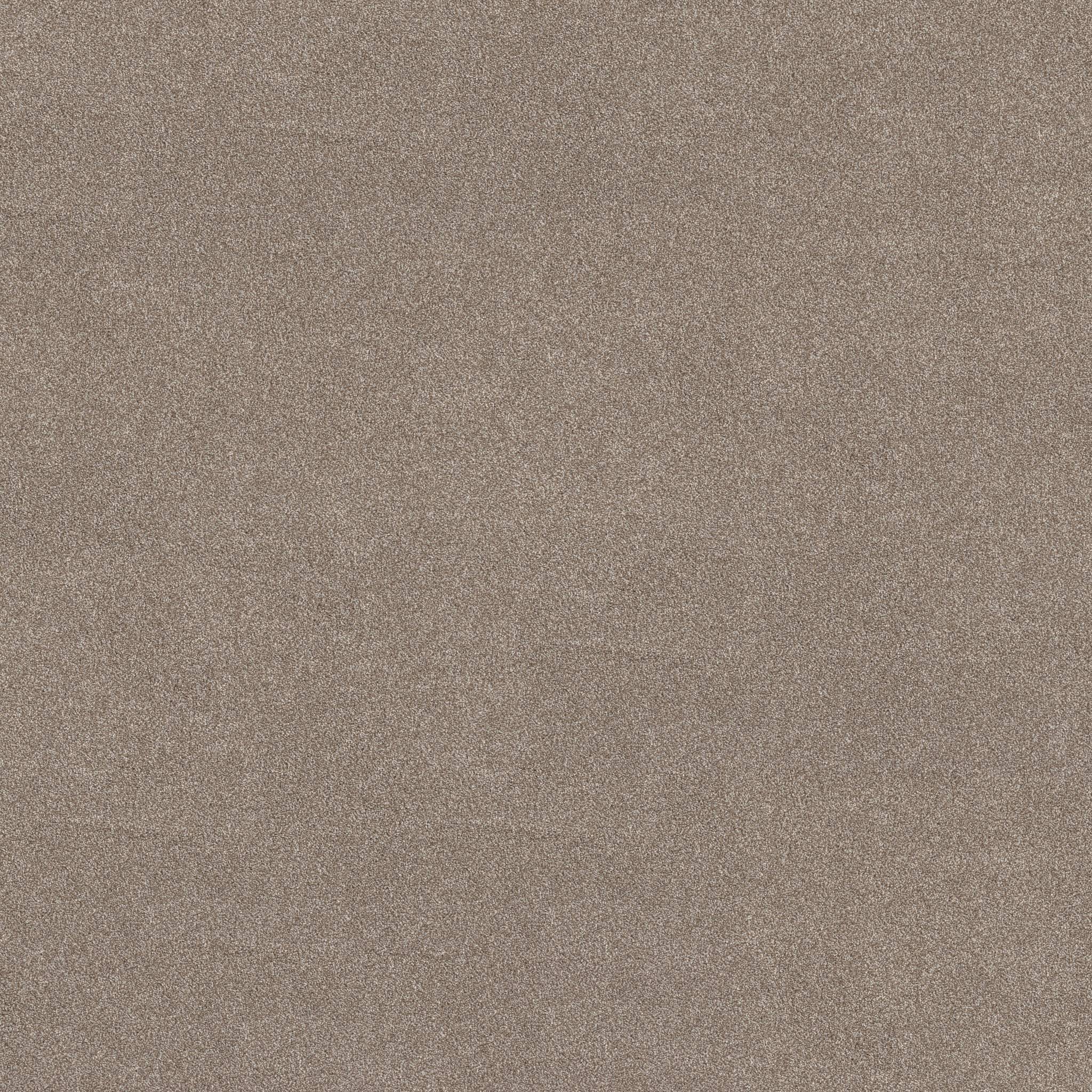 Brilliant Contact II Carpet - Mocha Zoomed Swatch Image