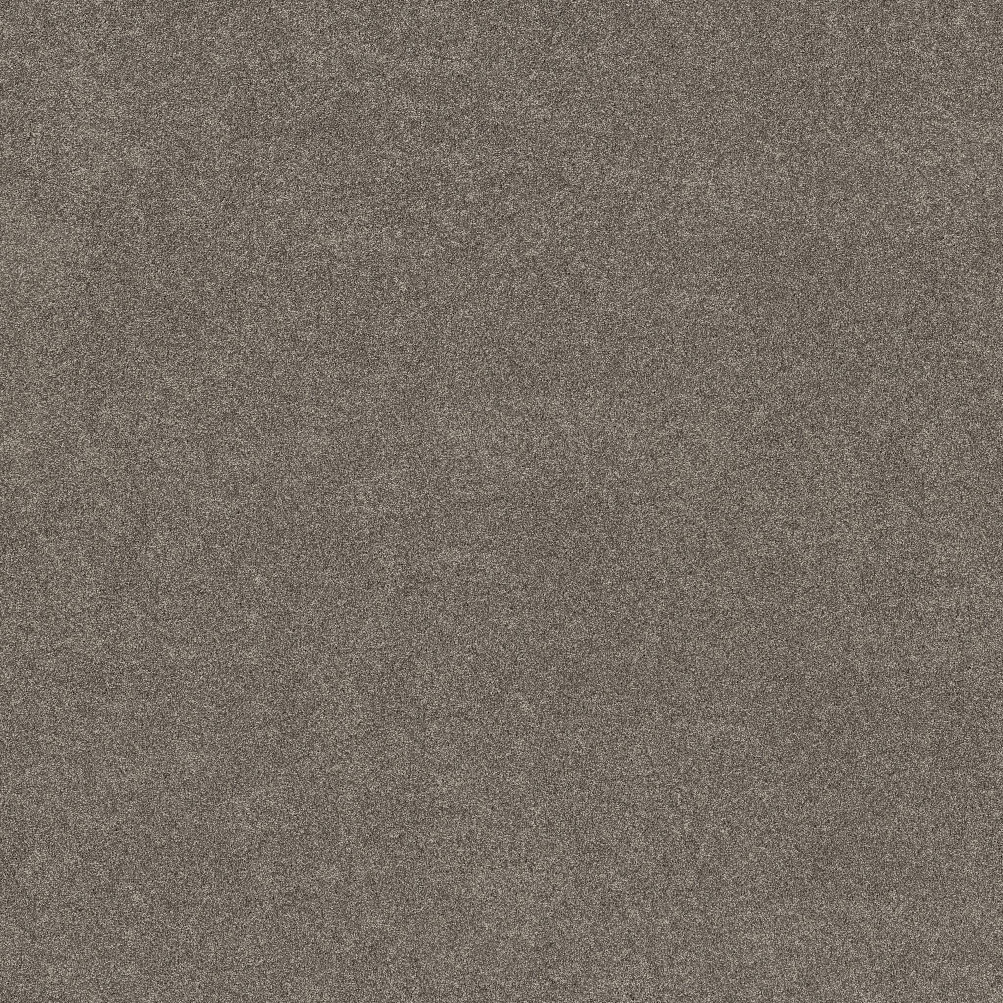 Brilliant Contact II Carpet - Hideaway Zoomed Swatch Image