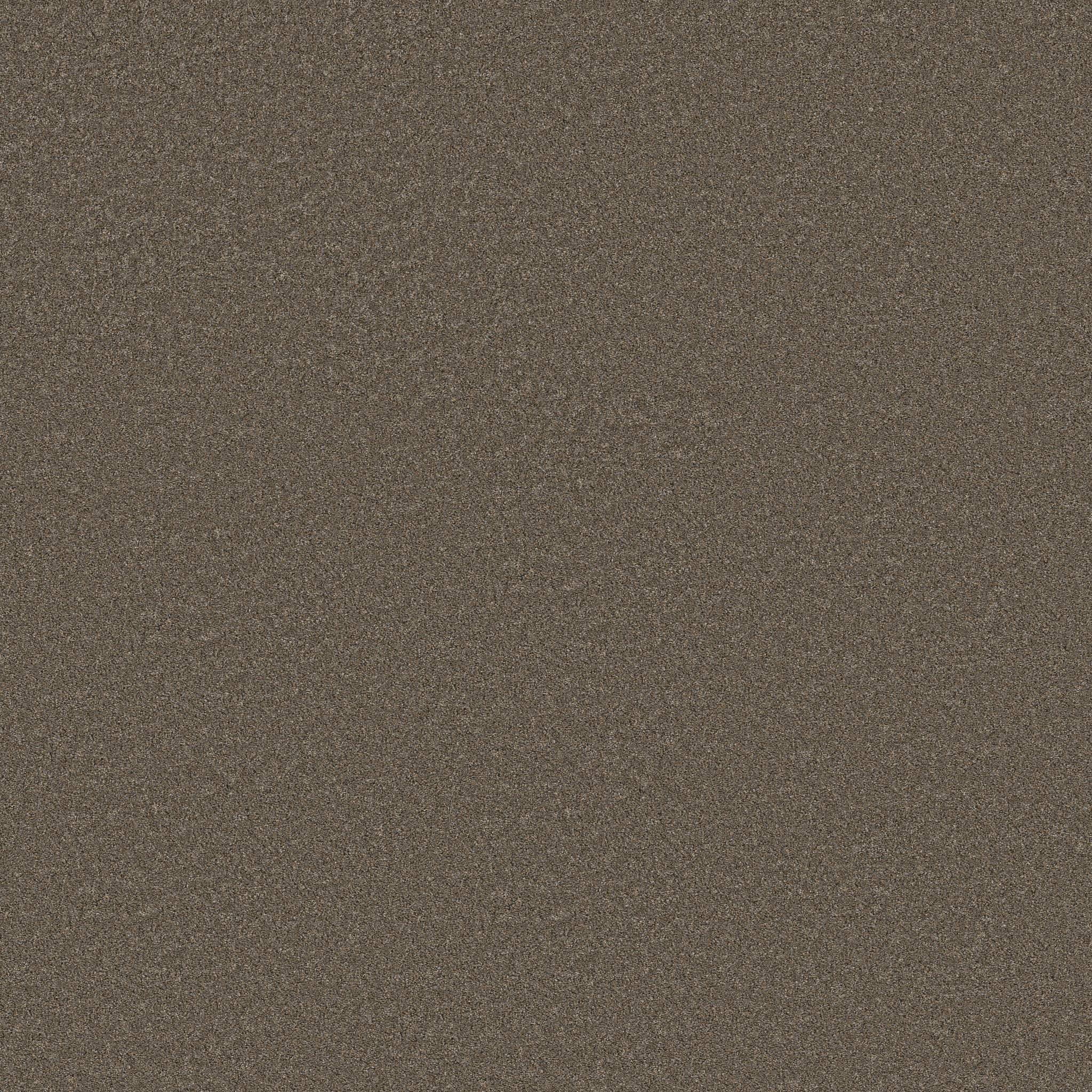 Combined Contact I Carpet - Tweed Zoomed Swatch Image