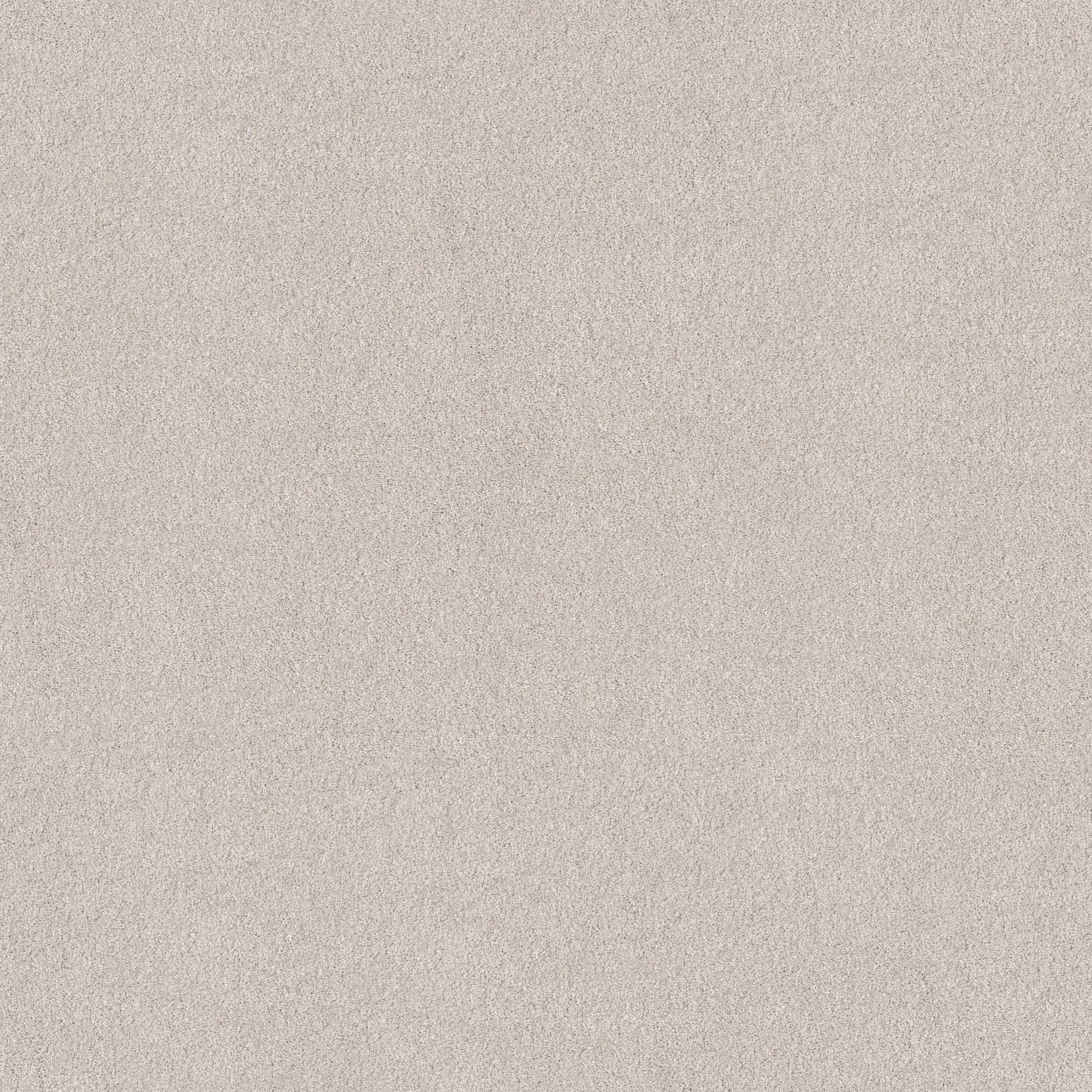 Combined Contact II Carpet - Kashmir White Zoomed Swatch Image