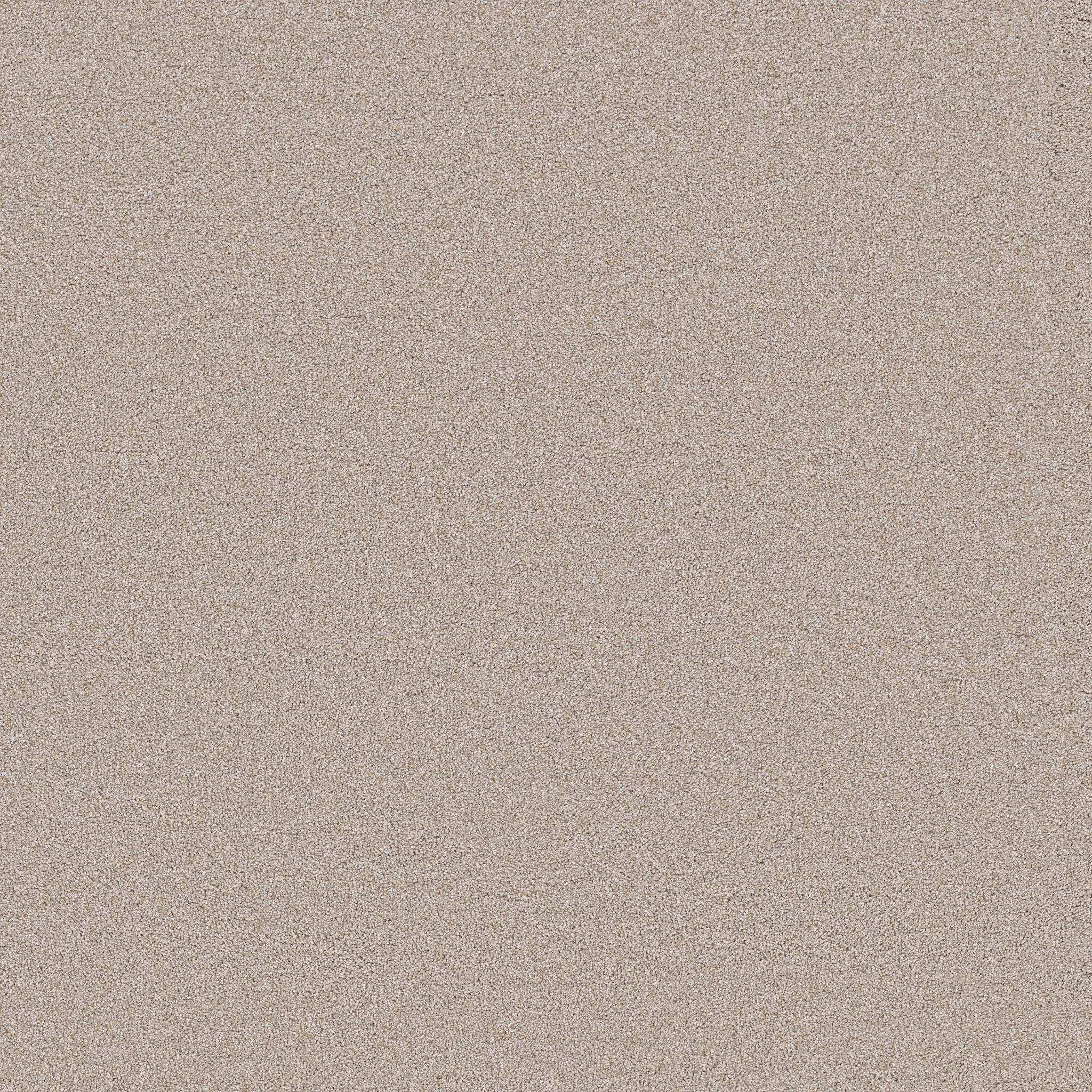 Combined Contact II Carpet - Venetian Plaster Zoomed Swatch Image