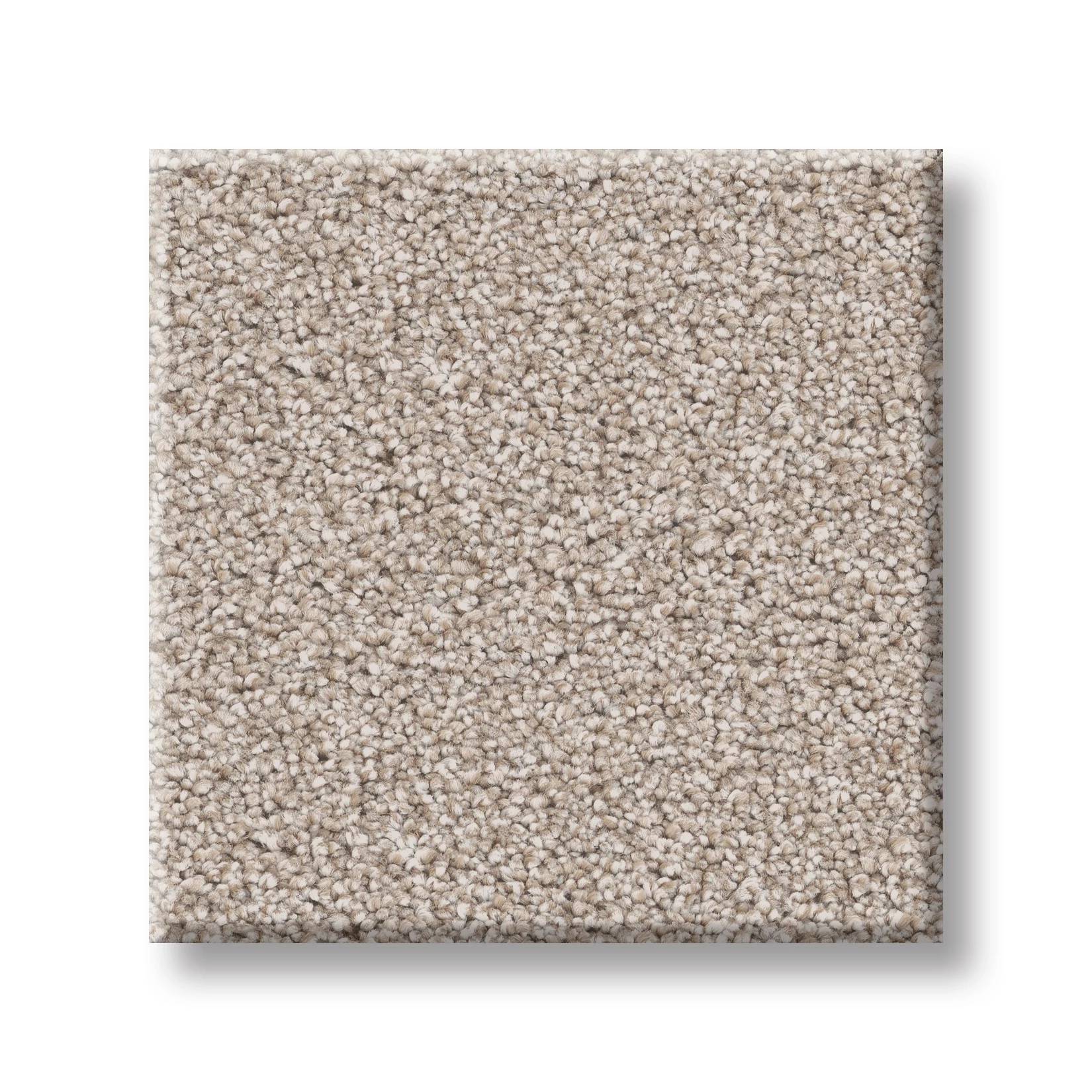 Combined Contact II Carpet - Venetian Plaster Swatch Thumbnail pupop1