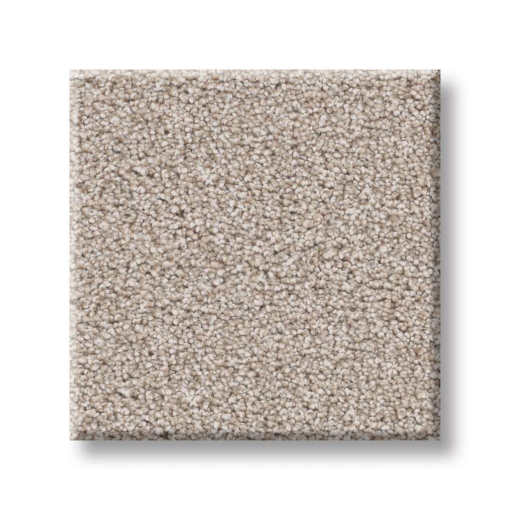 Combined Contact II Carpet - Venetian Plaster  Swatch Image 
