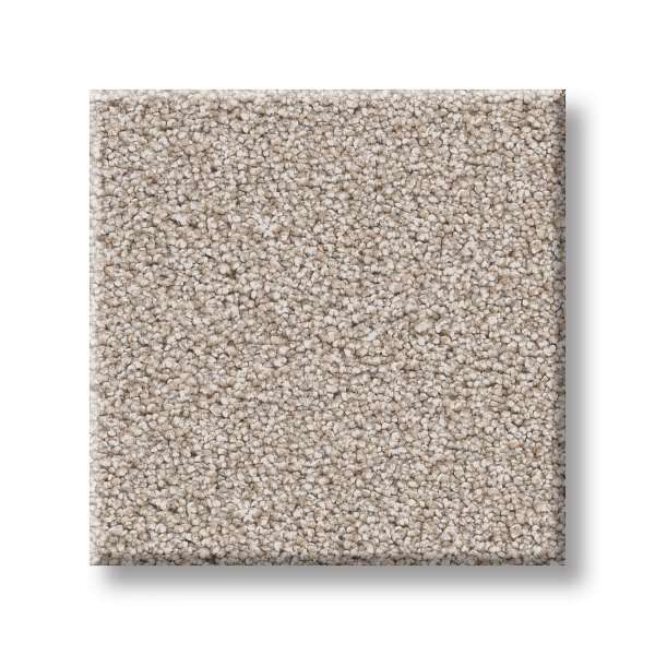 Style Combined Contact II Carpet - Venetian Plaster Swatch
