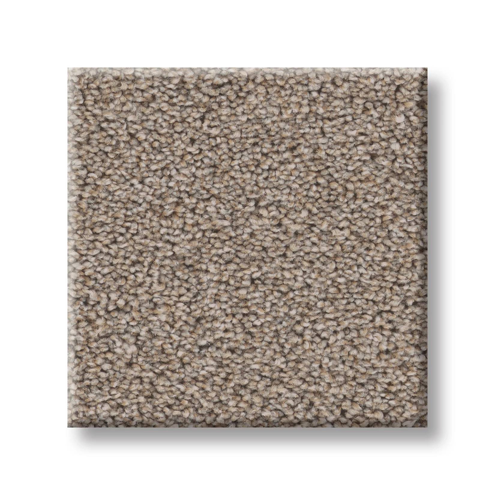 Combined Contact II Carpet - Wool Blend Swatch Thumbnail pupop1