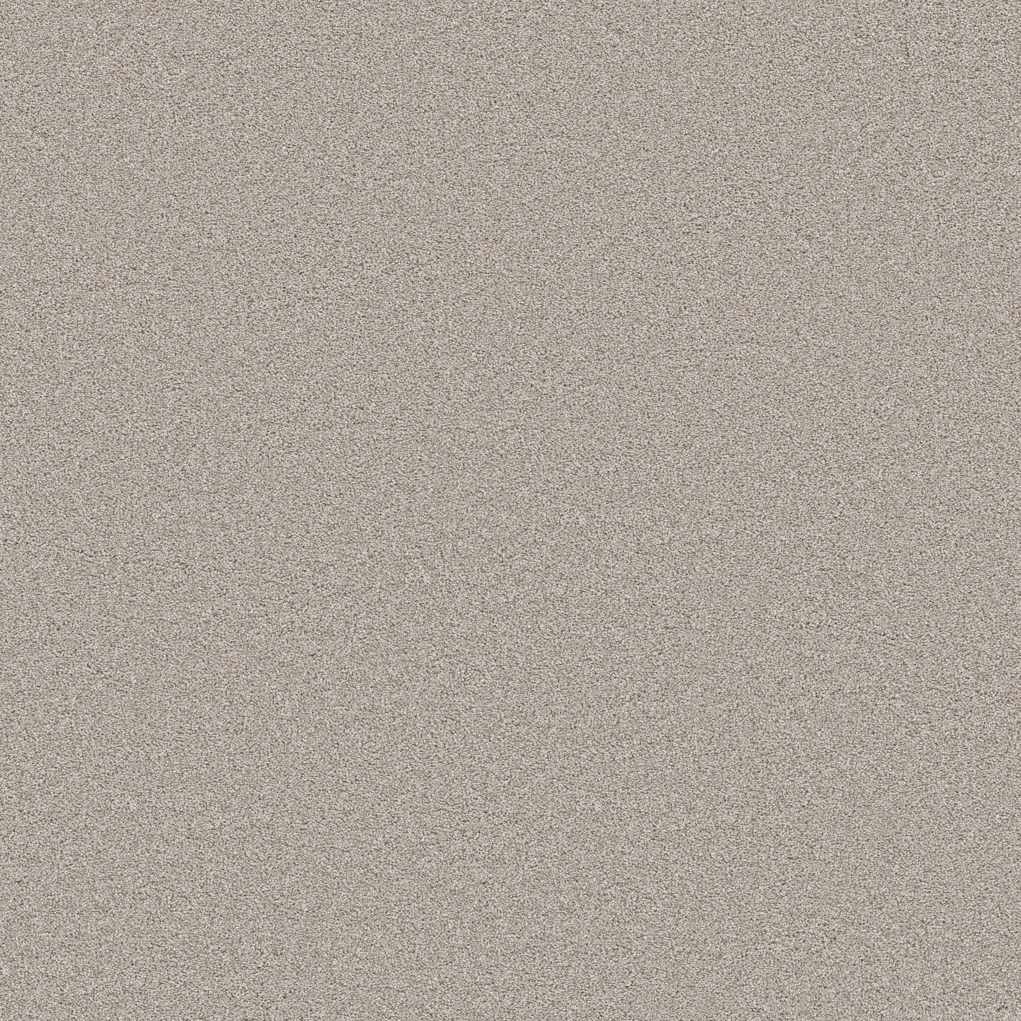 Combined Contact II Carpet - Raw Silk Zoomed Swatch Image