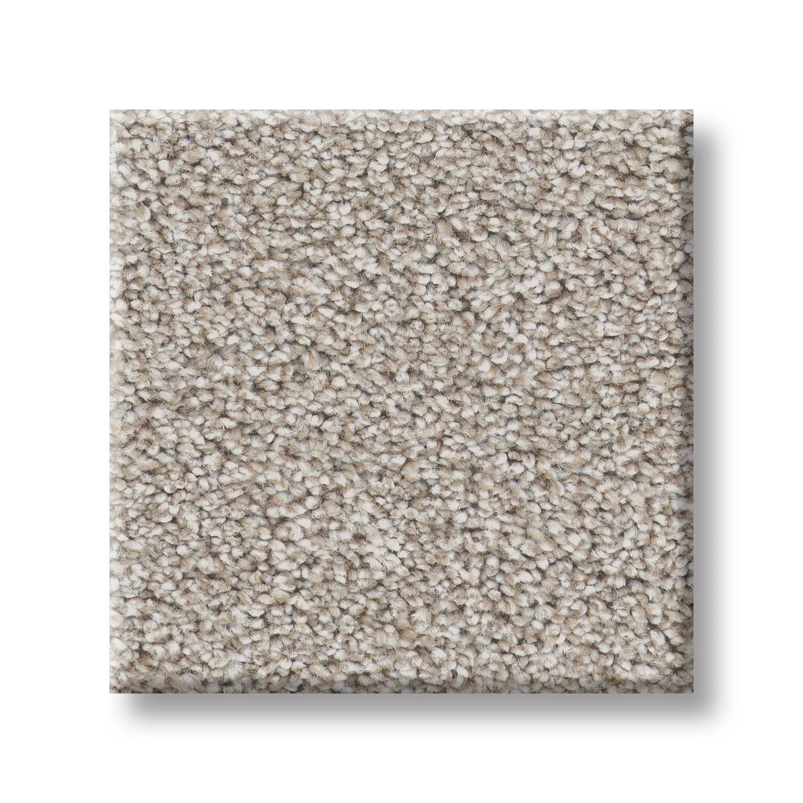Combined Contact II Carpet - Raw Silk Swatch Thumbnail pupop1