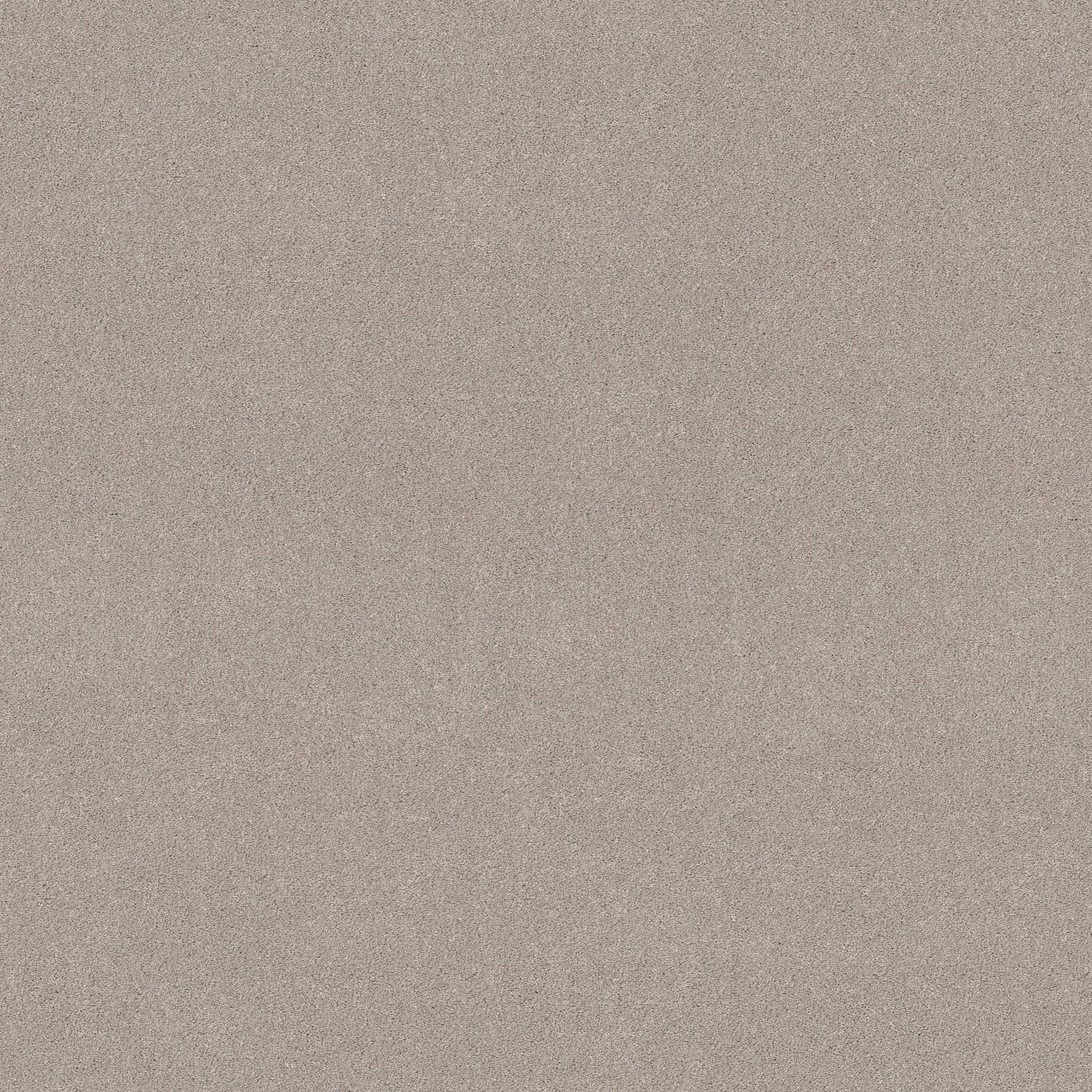 Combined Contact II Carpet - Shadow Zoomed Swatch Image