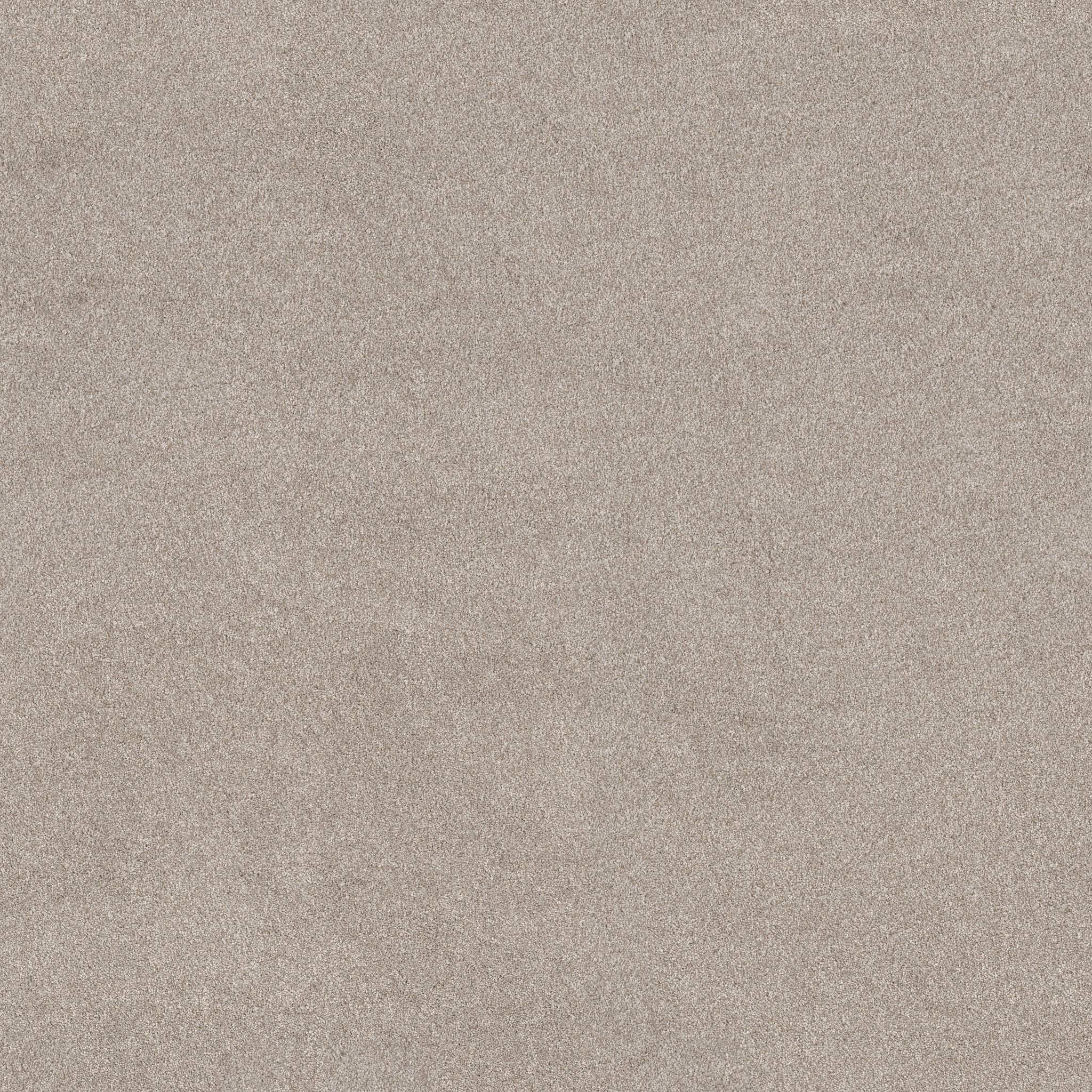 Combined Contact II Carpet - Luna Pearl Zoomed Swatch Image