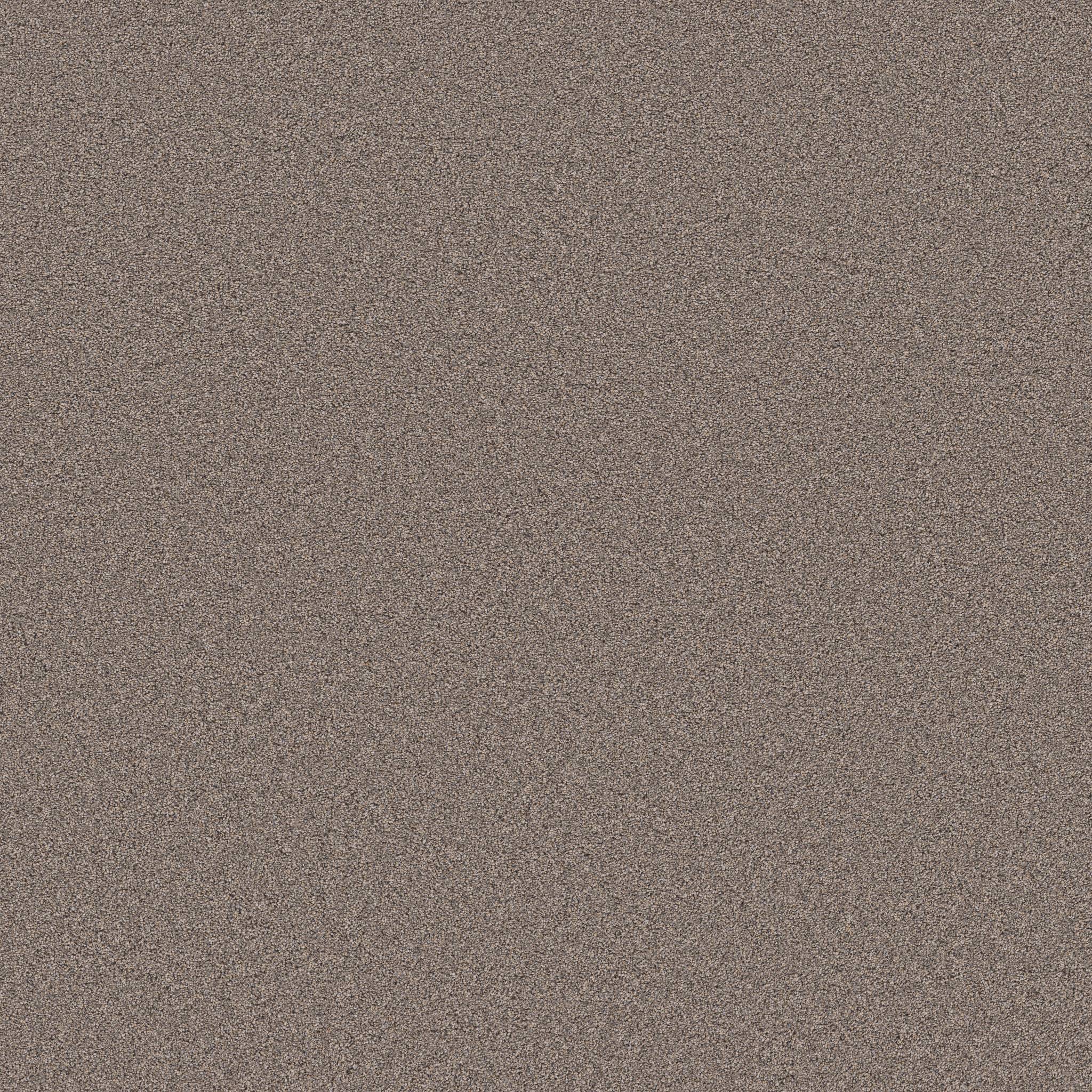 Combined Contact II Carpet - Newstar Zoomed Swatch Image