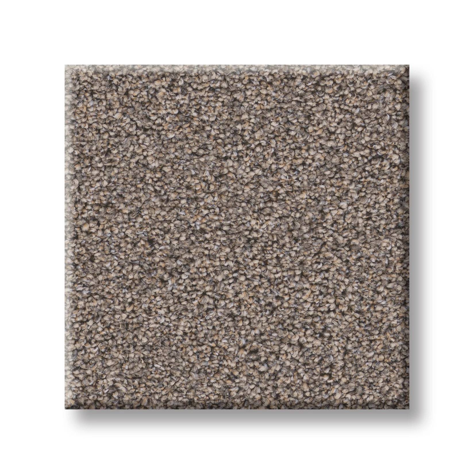 Combined Contact II Carpet - Newstar Swatch Thumbnail pupop1