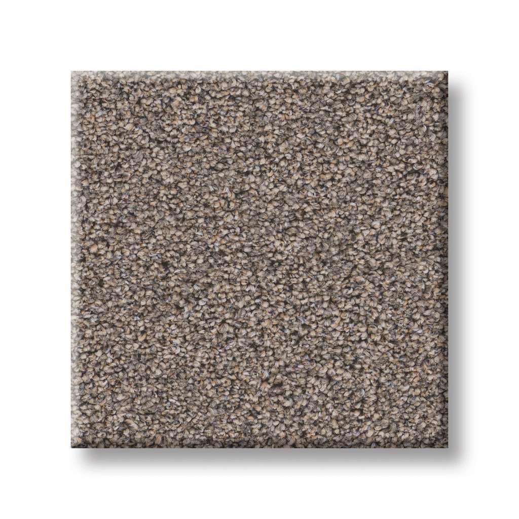 Combined Contact II Carpet - Newstar  Swatch Image 