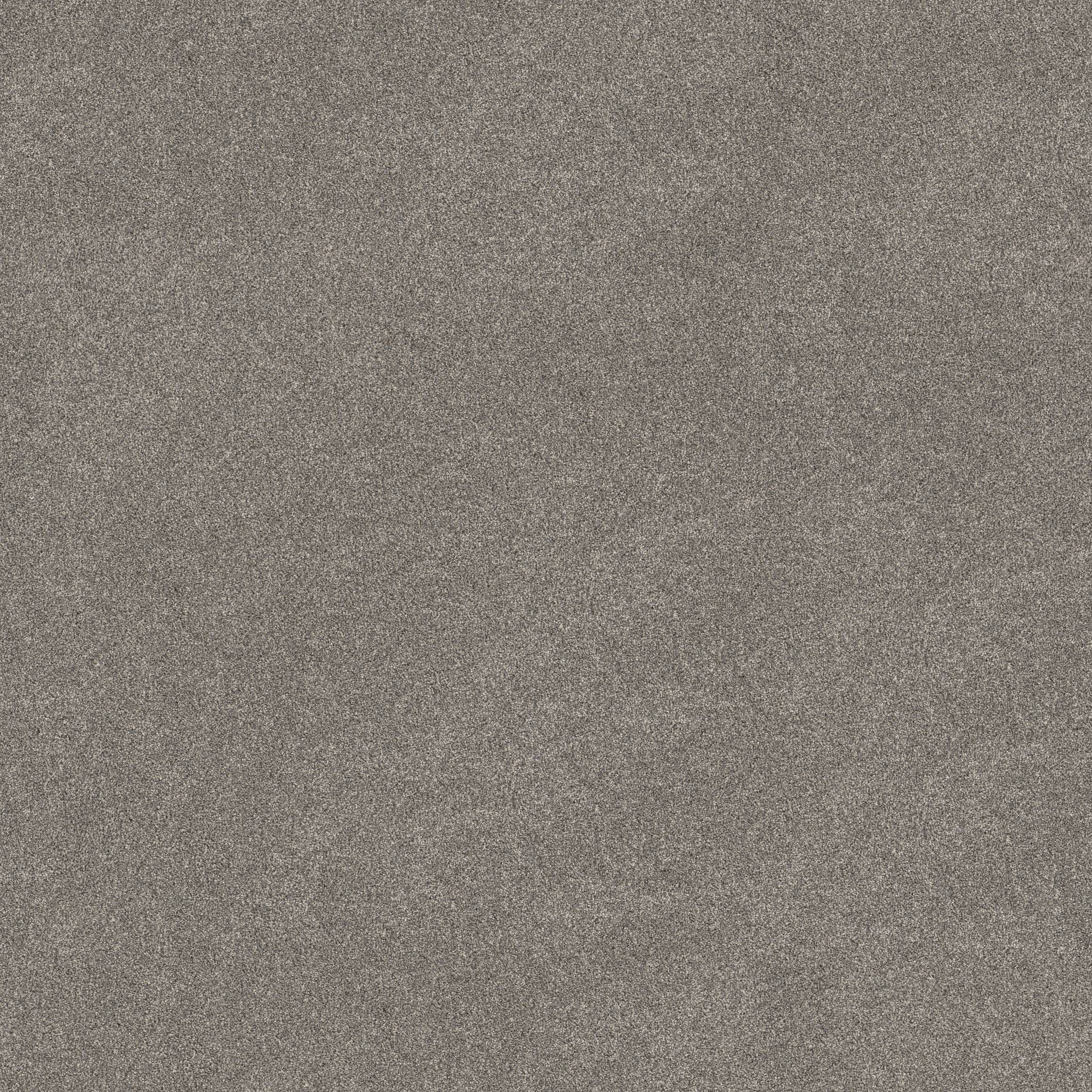Combined Contact II Carpet - Concrete Zoomed Swatch Image