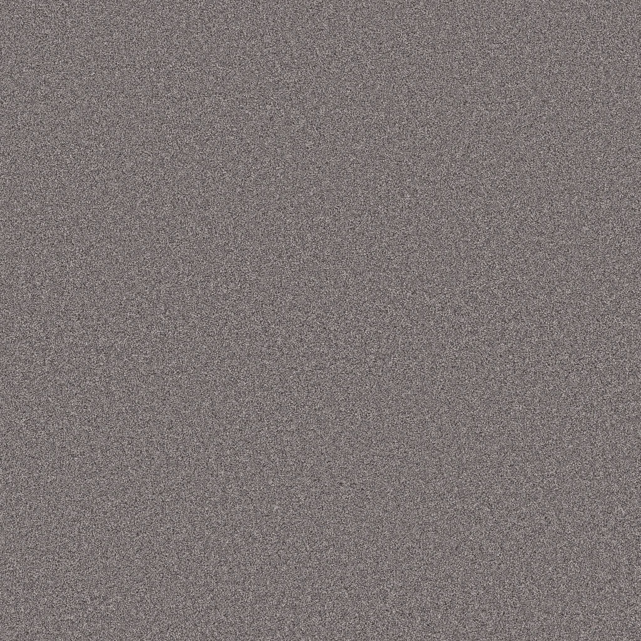 Combined Contact II Carpet - Gray Granite Zoomed Swatch Image