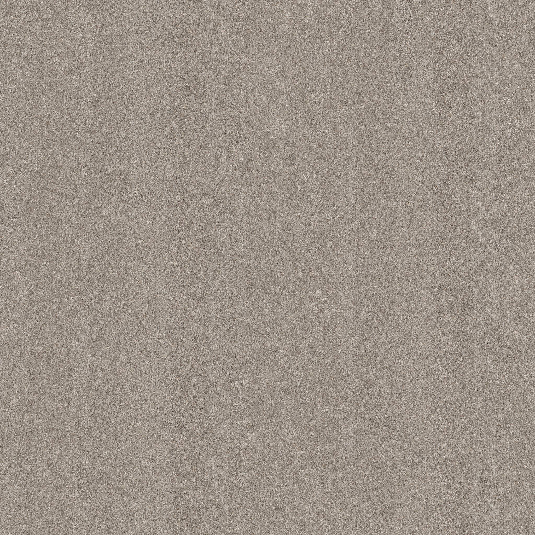 Combined Contact II Carpet - Pebble Stone Zoomed Swatch Image