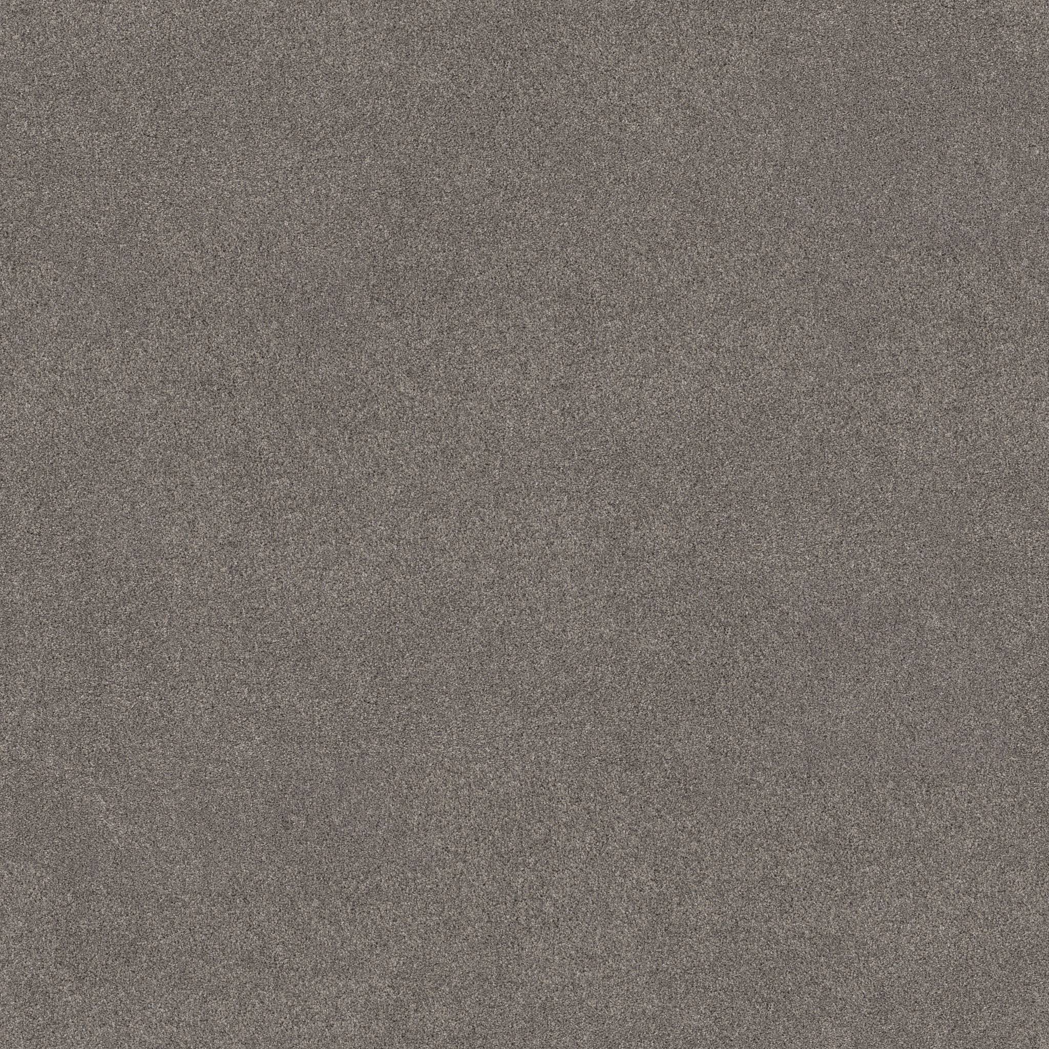 Combined Contact II Carpet - Wild Rocks Zoomed Swatch Image