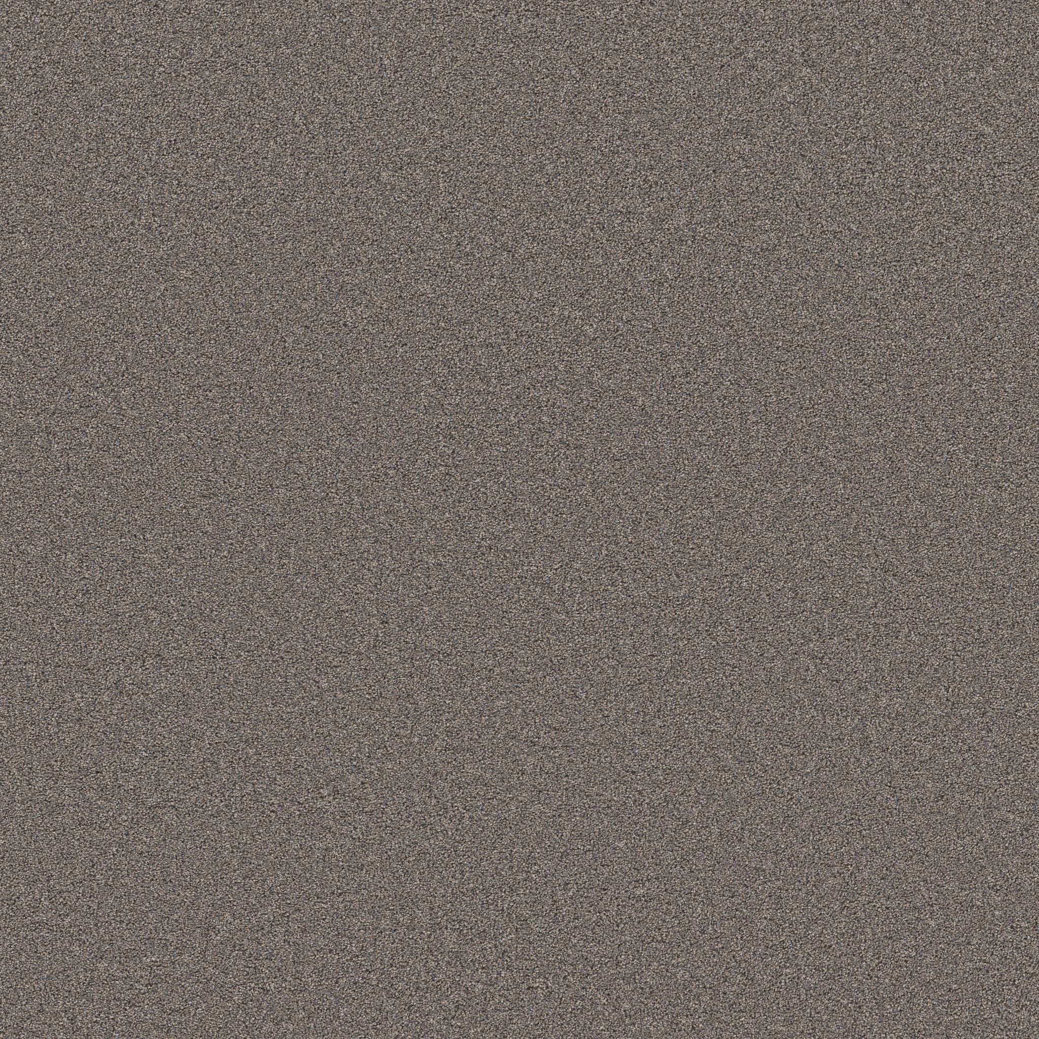 Combined Contact II Carpet - Baltic Brown Zoomed Swatch Image