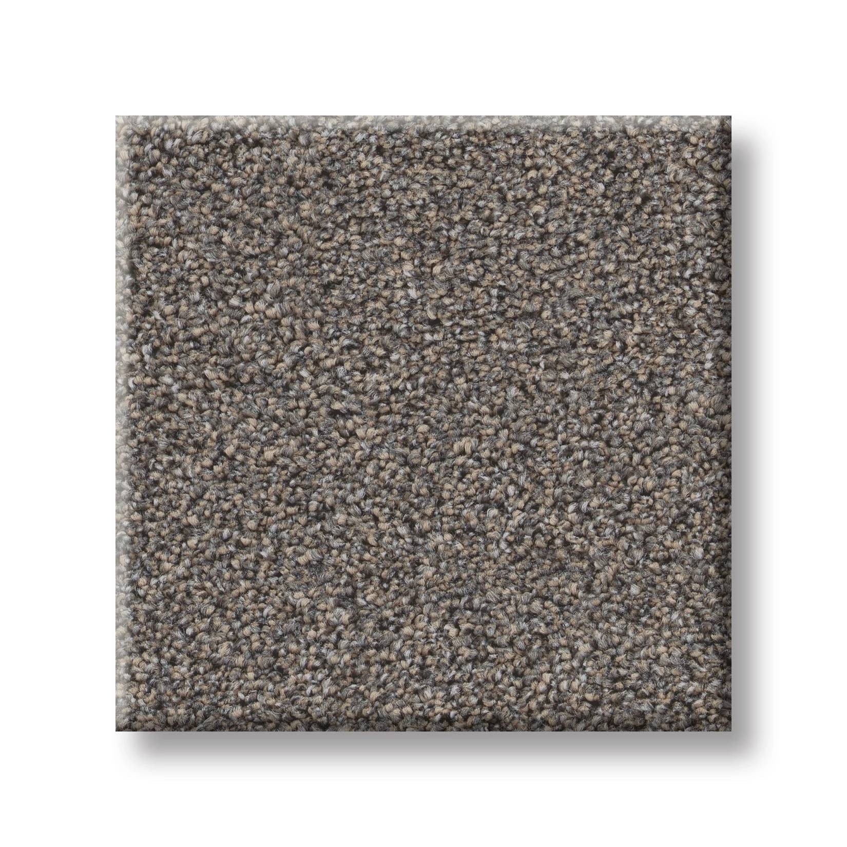 Combined Contact II Carpet - Baltic Brown Swatch Thumbnail pupop1