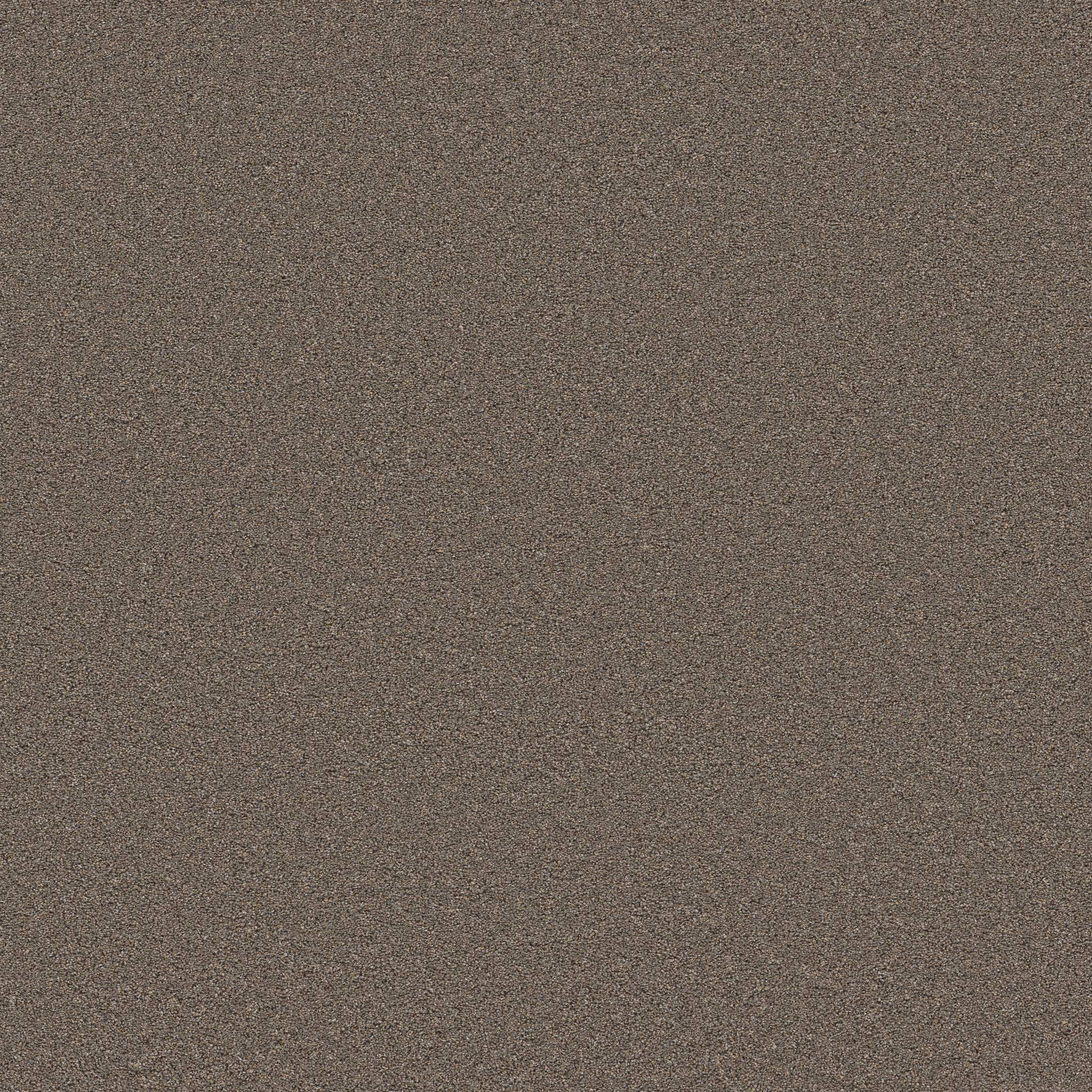 Combined Contact II Carpet - Tweed Zoomed Swatch Image