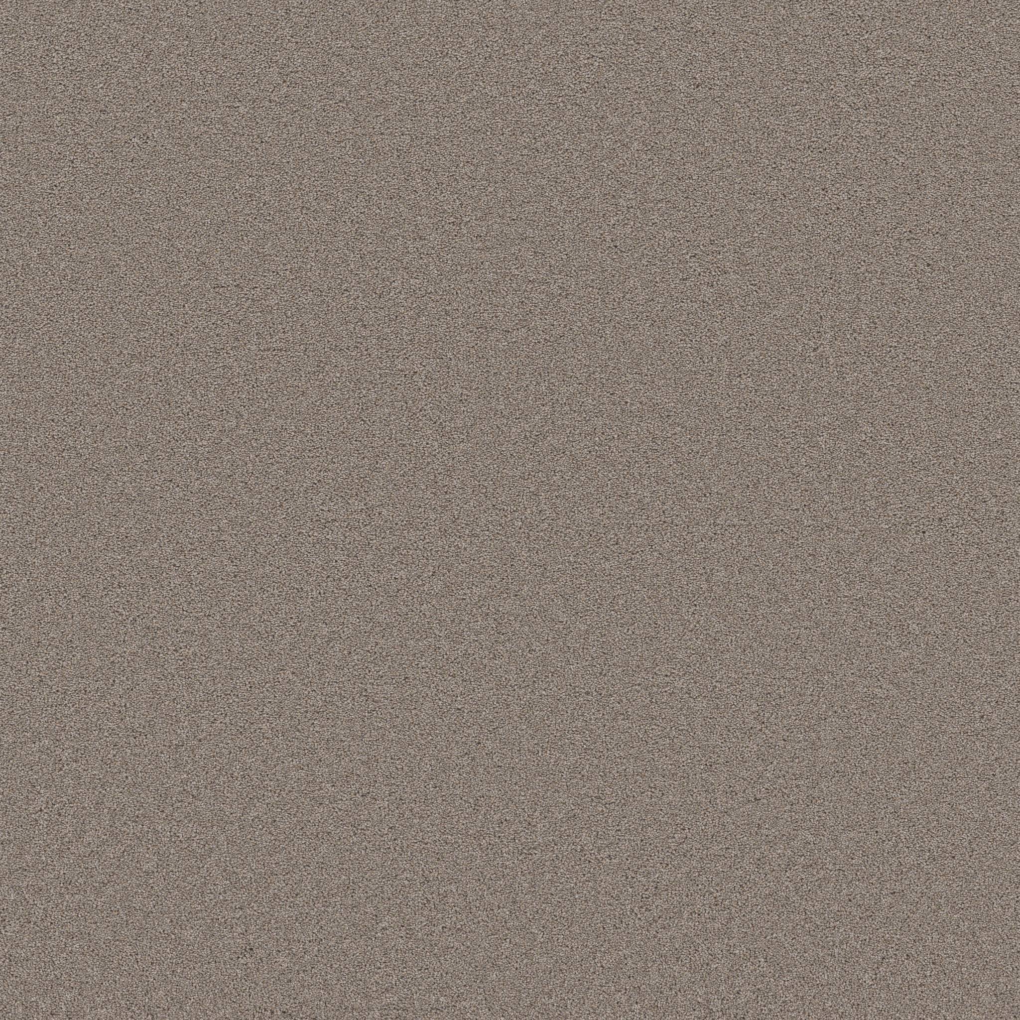 Combined Contact II Carpet - Mocha Zoomed Swatch Image