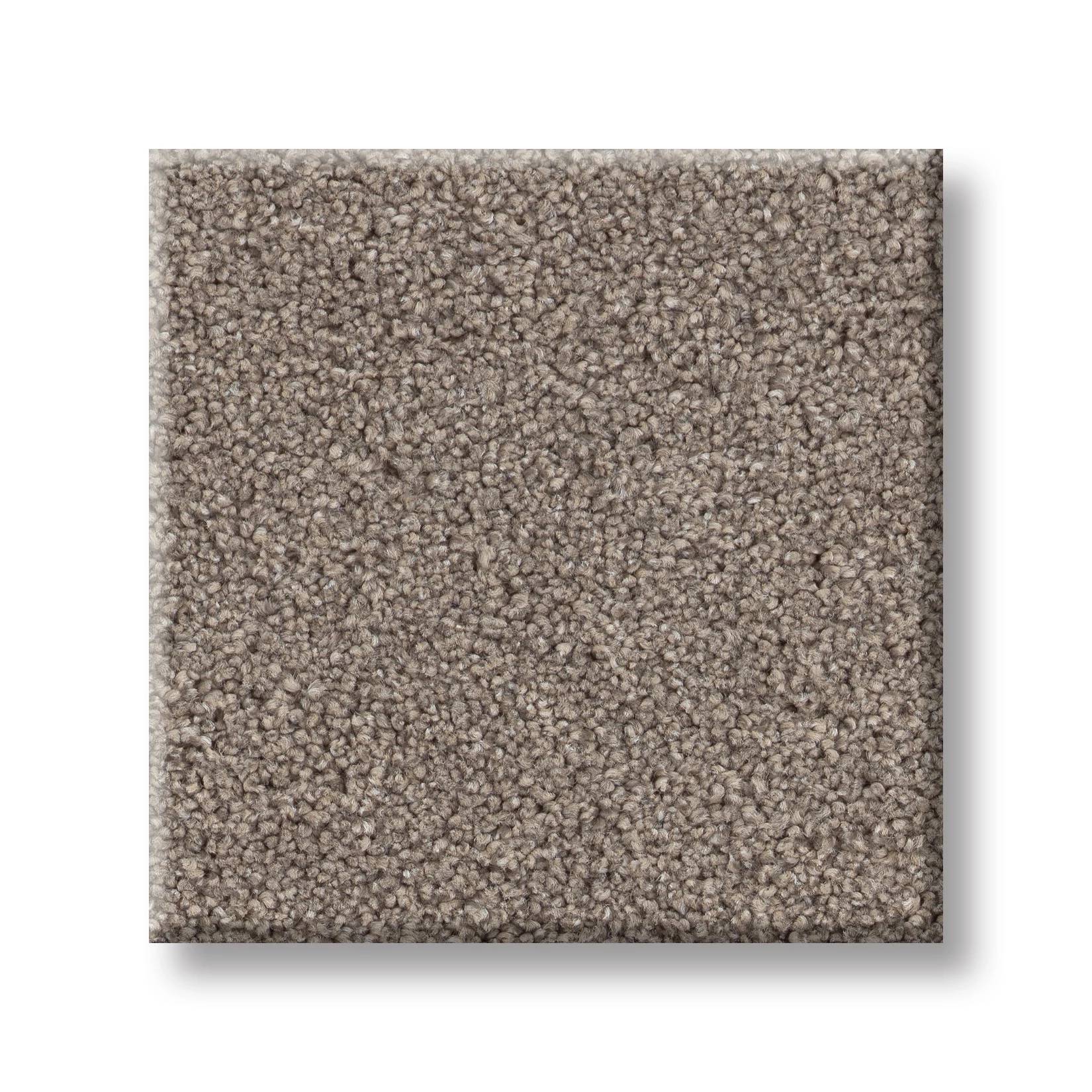 Combined Contact II Carpet - Mocha Swatch Thumbnail pupop1