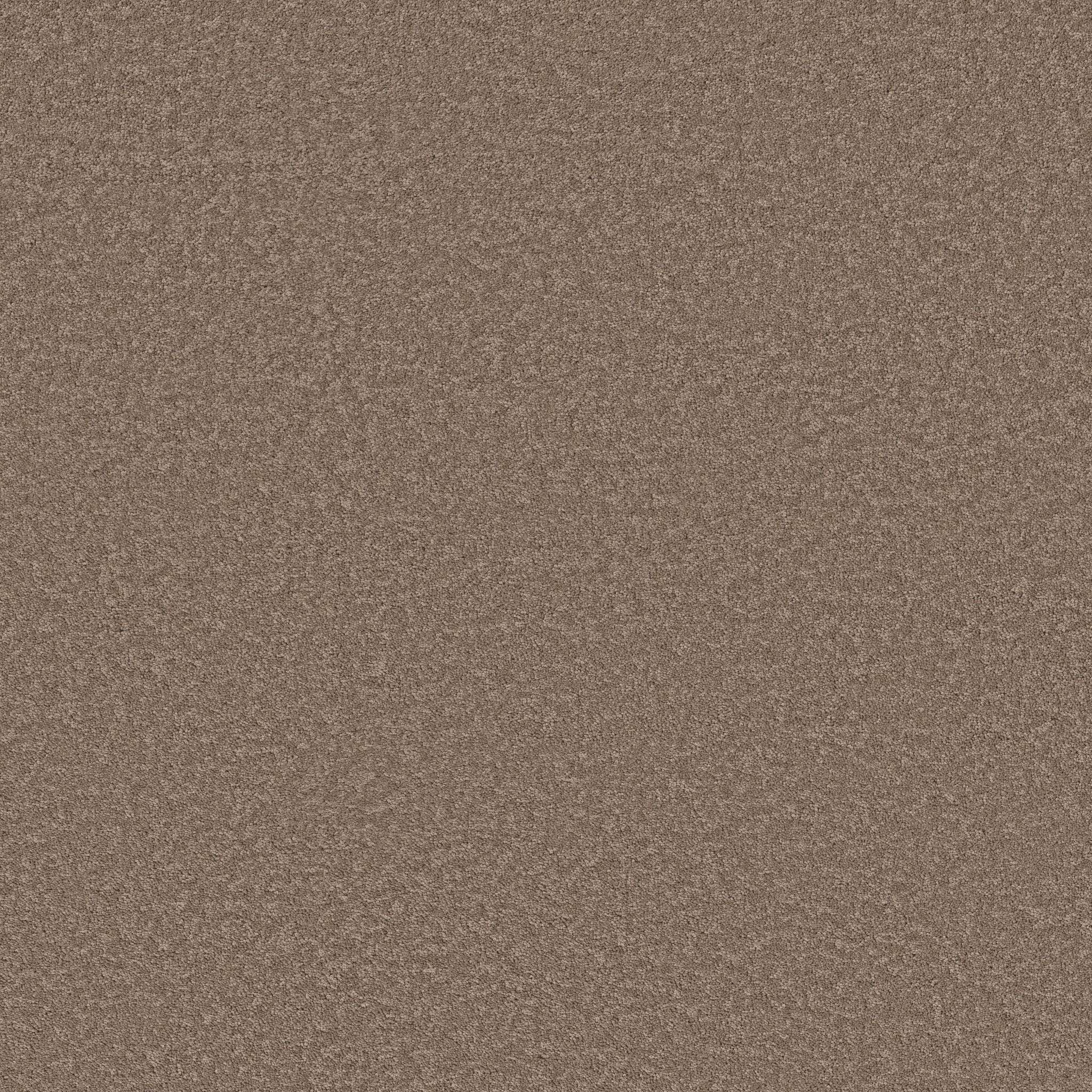 Delicate Contact I Carpet - Timberlake Zoomed Swatch Image