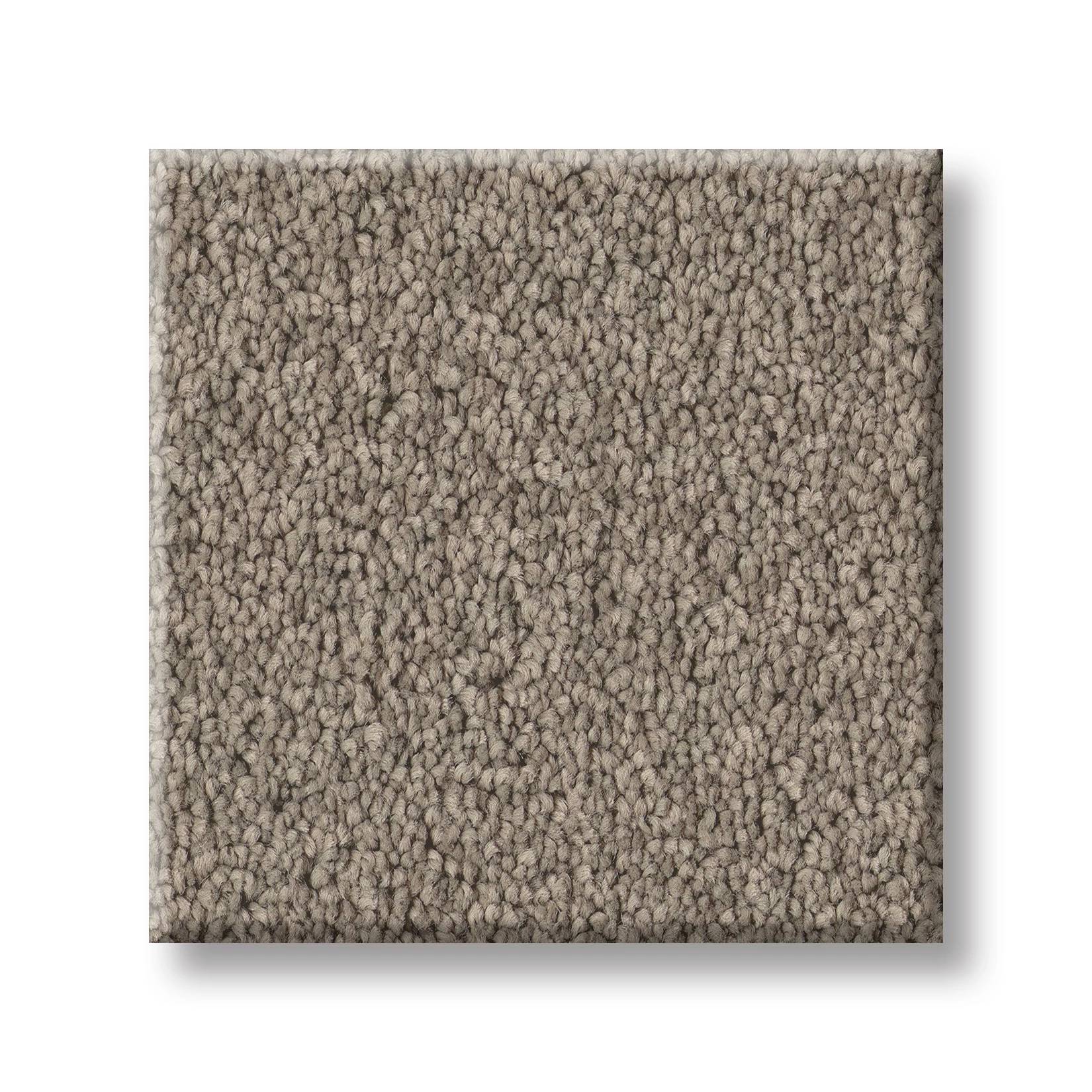 Delicate Contact I Carpet - Plaza Taupe Swatch Thumbnail pupop1