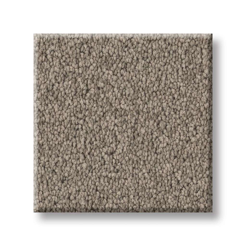 Delicate Contact I Carpet - Plaza Taupe  Swatch Image 