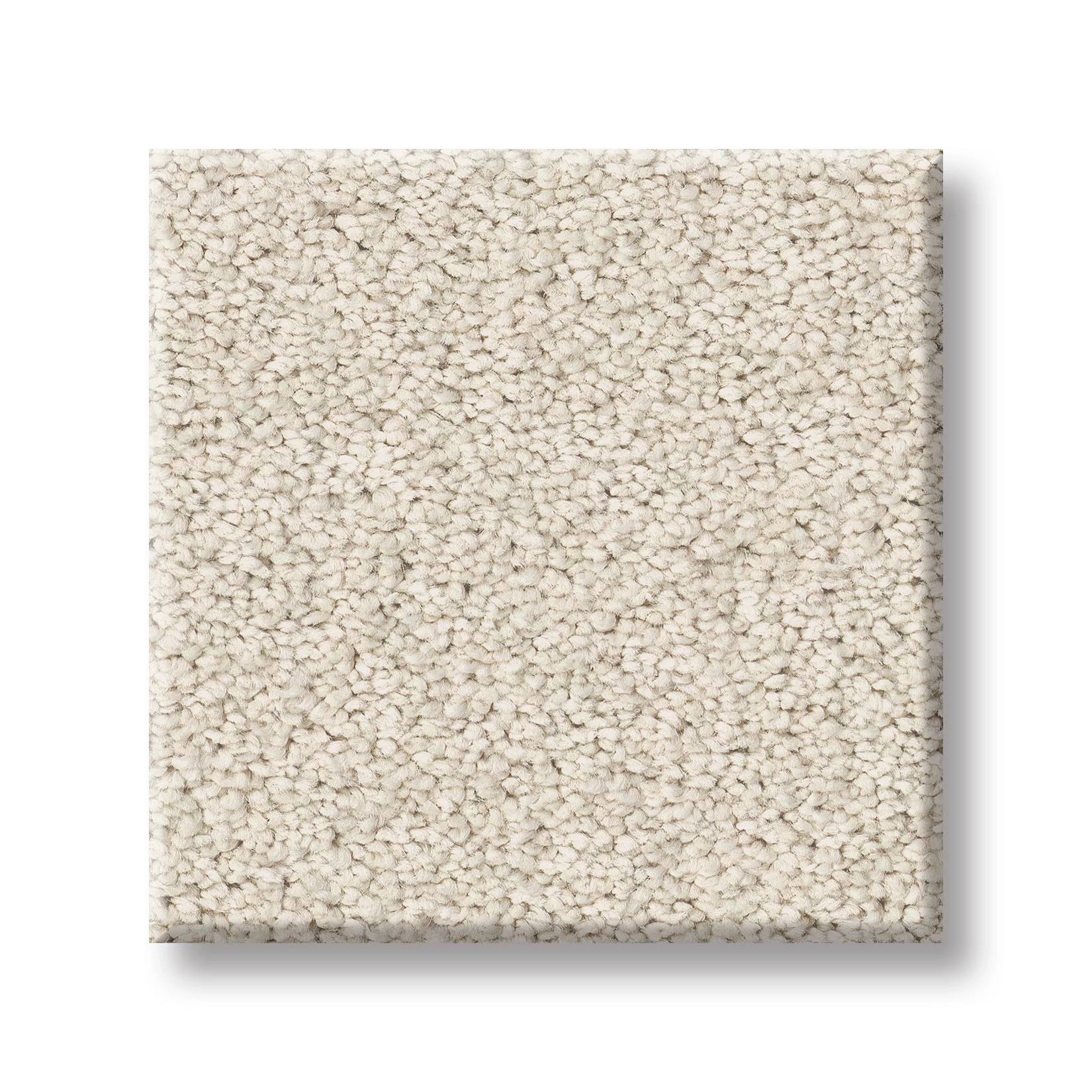 Delicate Contact II Carpet - Natural Swatch Thumbnail pupop1