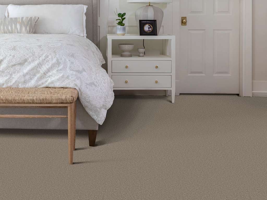 Delicate Contact II Carpet - Plaza Taupe Room Scene Image