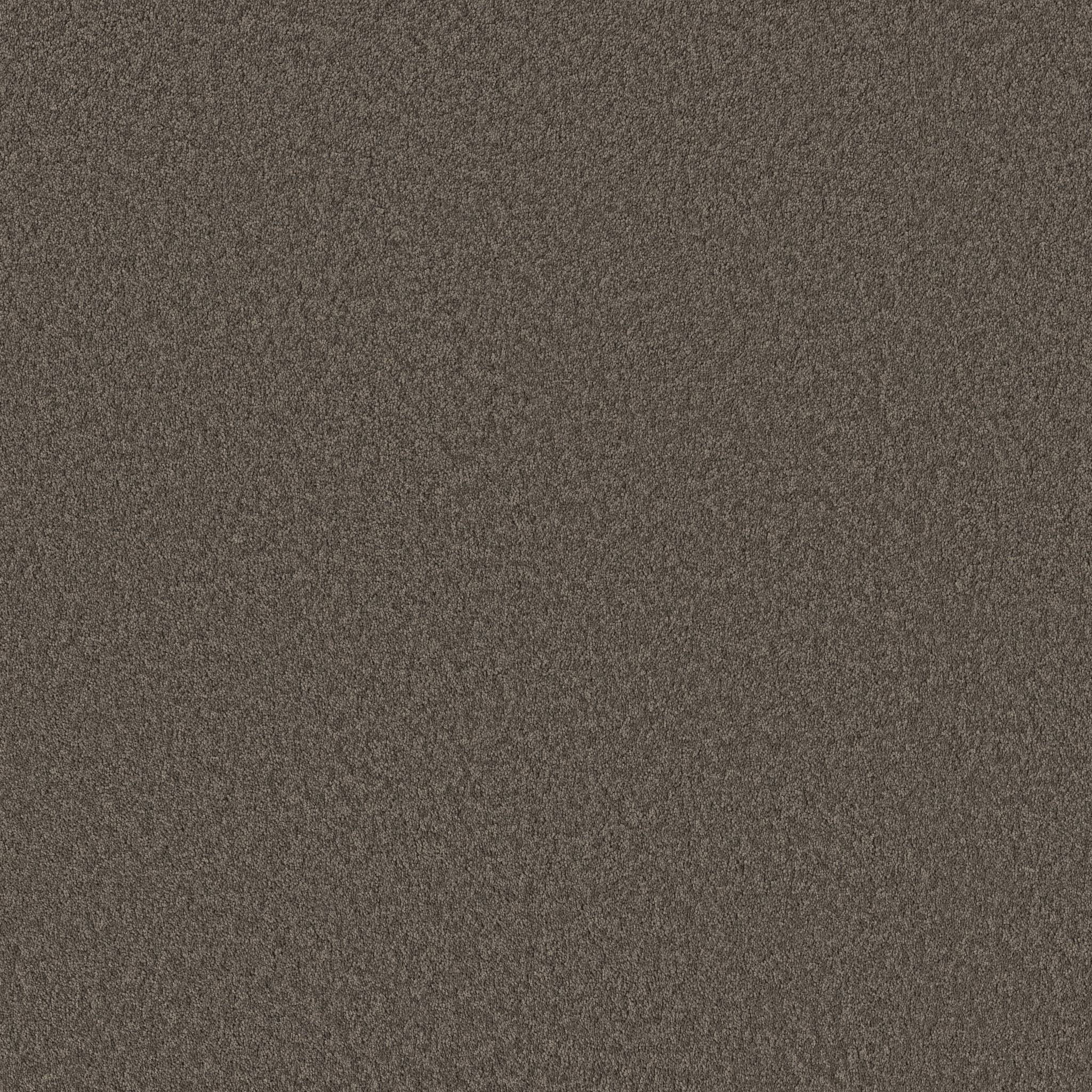 Delicate Contact II Carpet - Ashes Zoomed Swatch Image