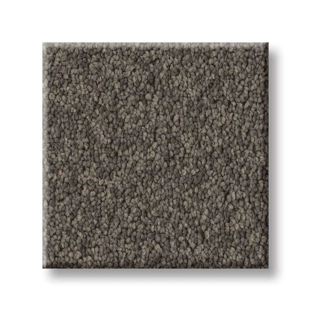 Delicate Contact II Carpet - Ashes  Swatch Image 