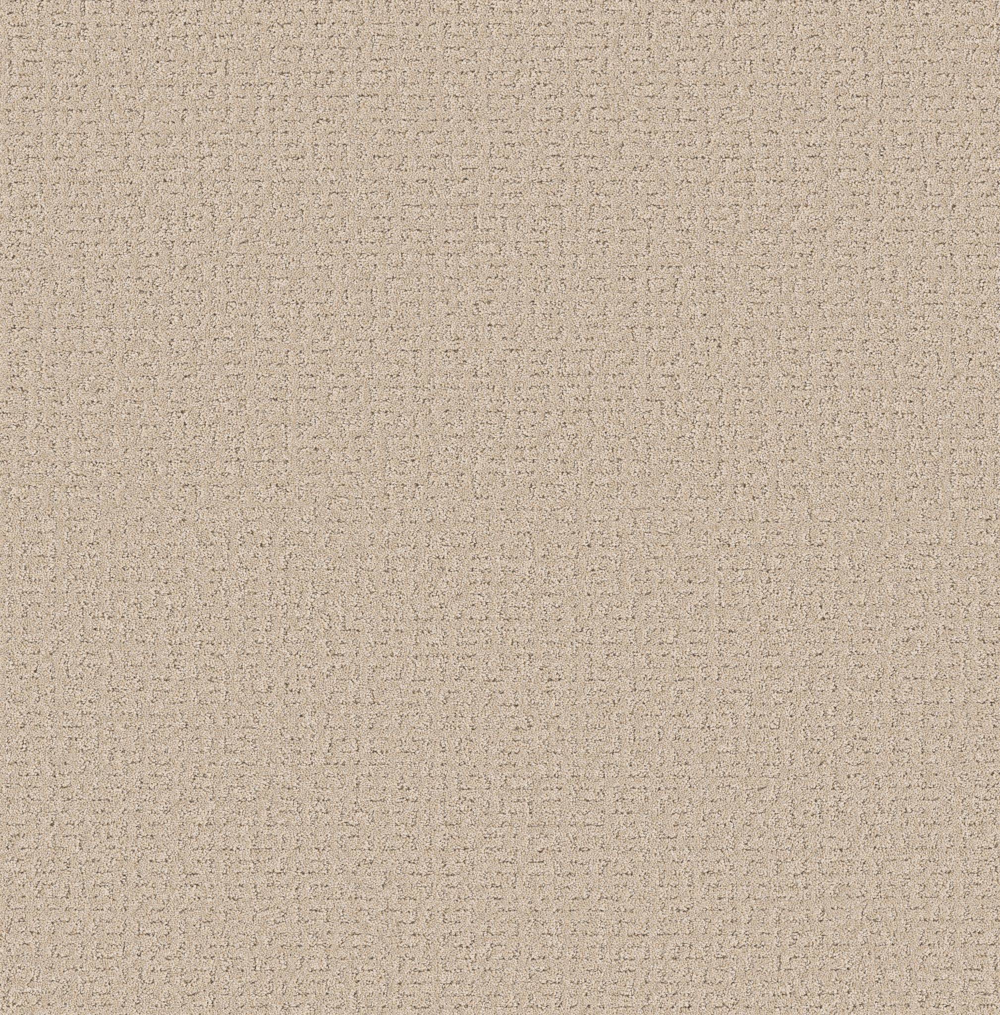 Private Gateway Carpet - Dune View Zoomed Swatch Image