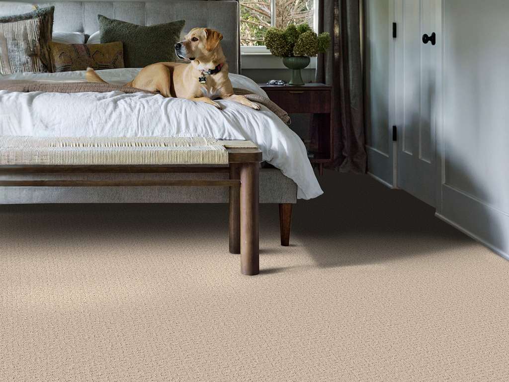 Private Gateway Carpet - Dune View Room Scene Image