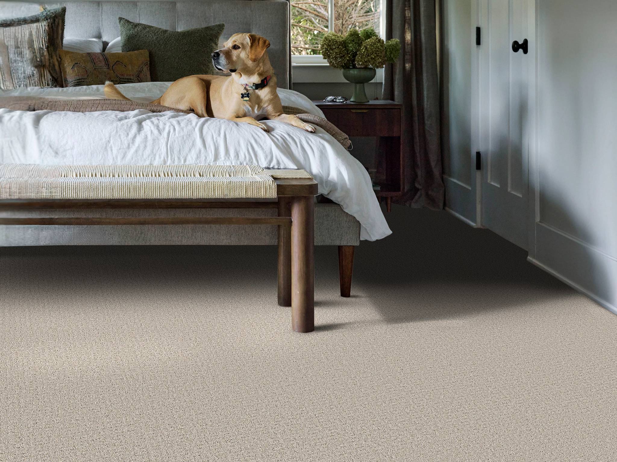 Style - Private Gateway,  Color - BEIGE MIST - Room Scene