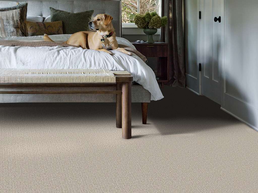 Private Gateway Carpet - Beige Mist Room Scene Image