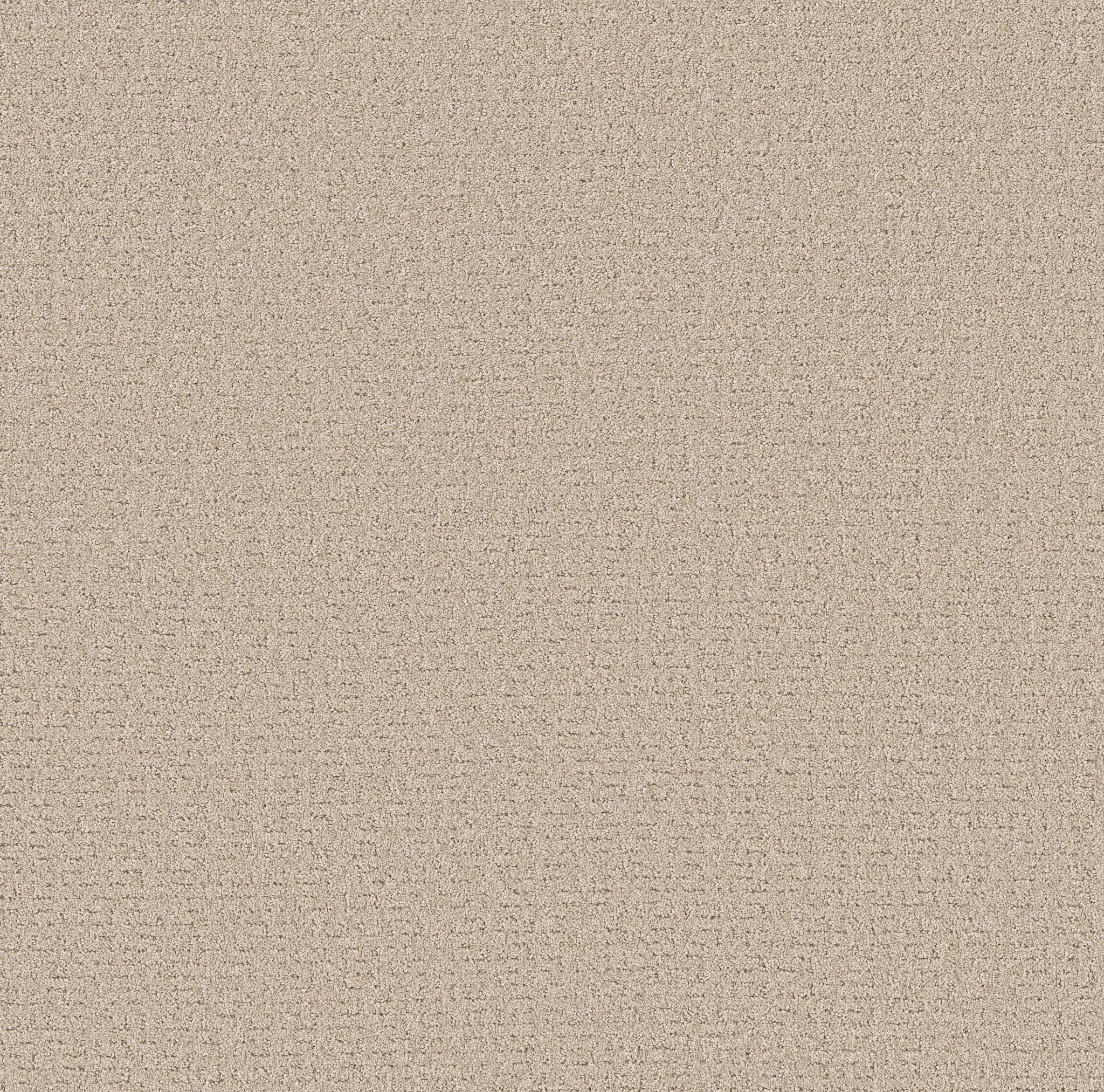 Private Gateway Carpet - Cafe Latte Zoomed Swatch Image