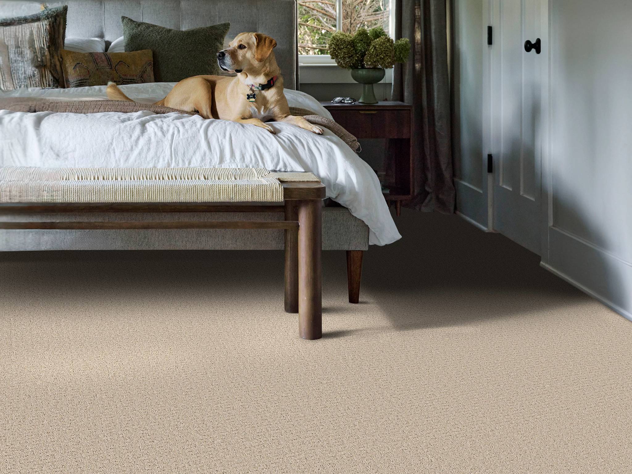 Style - Private Gateway,  Color - CAFE LATTE - Room Scene