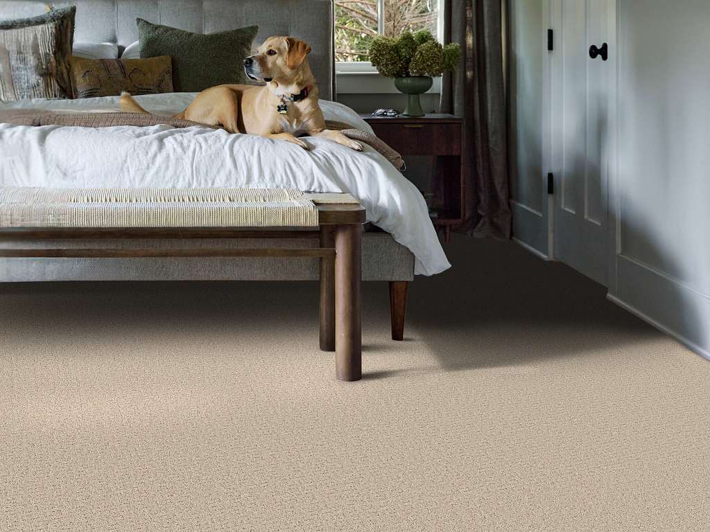 Private Gateway Carpet - Cafe Latte Room Scene Image