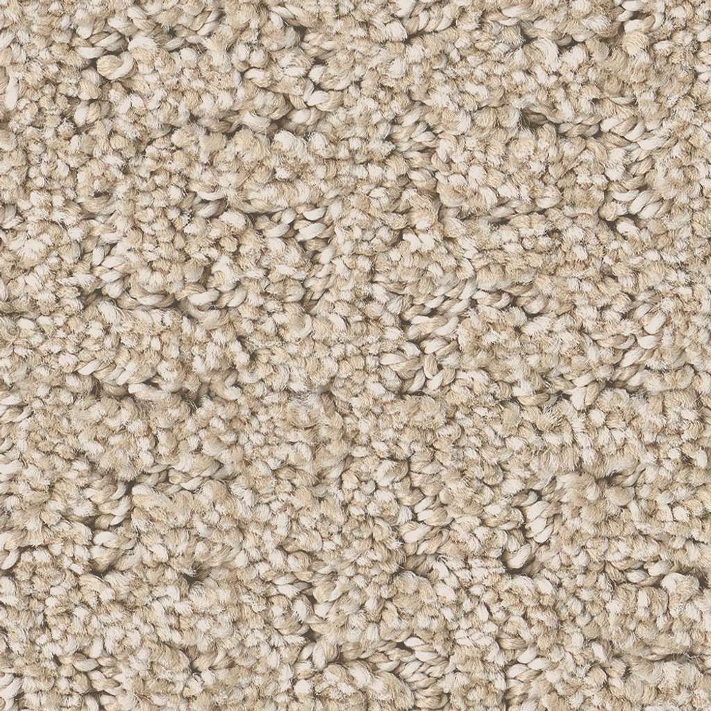 Private Gateway Carpet - Cafe Latte  Swatch Image 