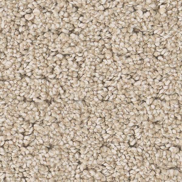 Style Private Gateway Carpet - Cafe Latte Swatch