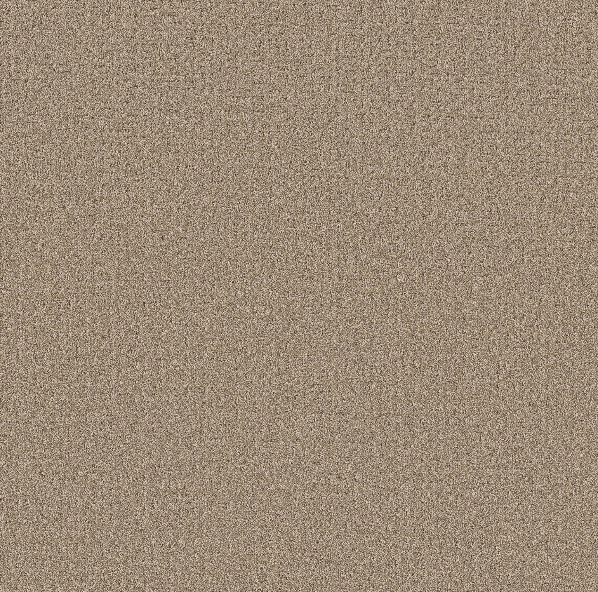 Private Gateway Carpet - Stonecrest Zoomed Swatch Image