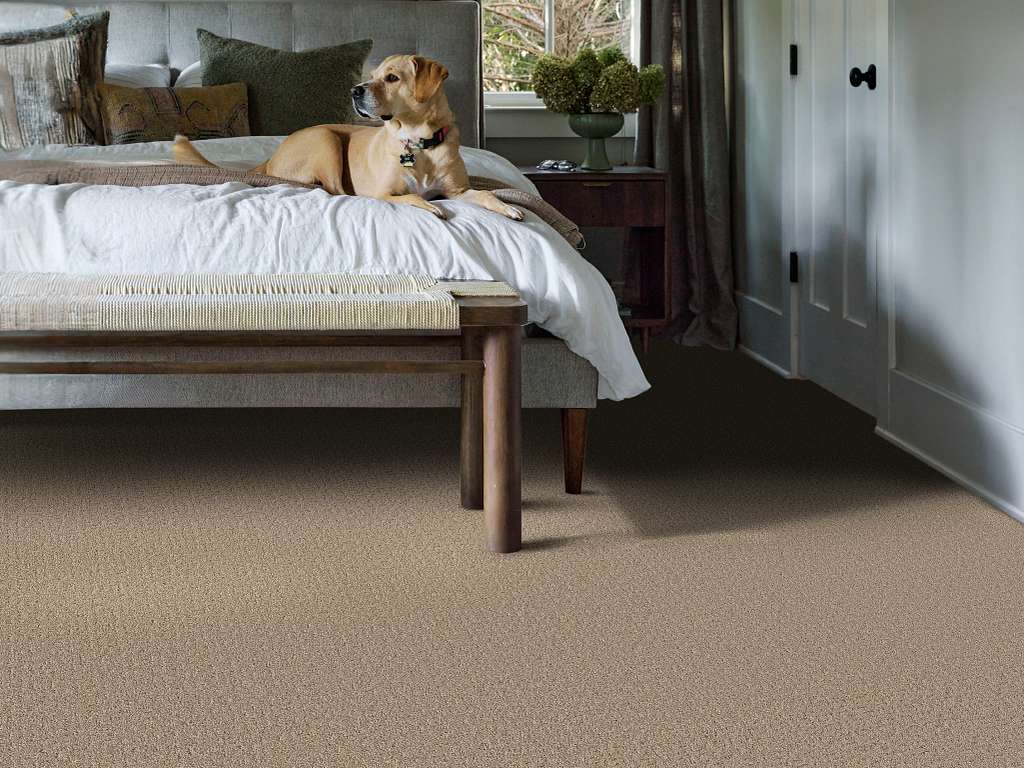 Private Gateway Carpet - Stonecrest Room Scene Image