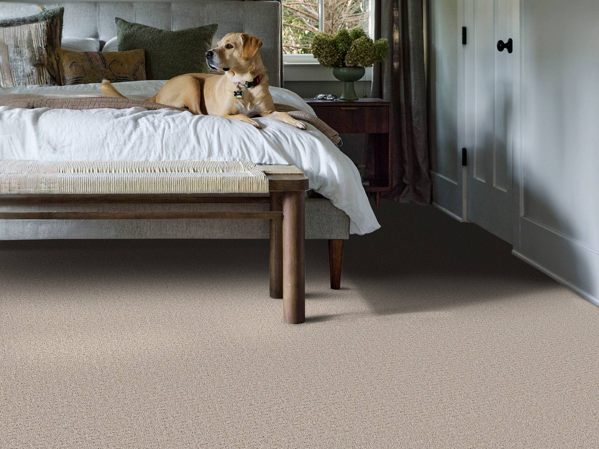 Style - Private Gateway,  Color - CHIC TAUPE - Room Scene