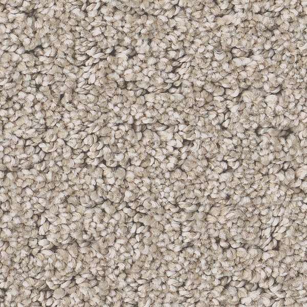 Style Private Gateway Carpet - Chic Taupe Swatch