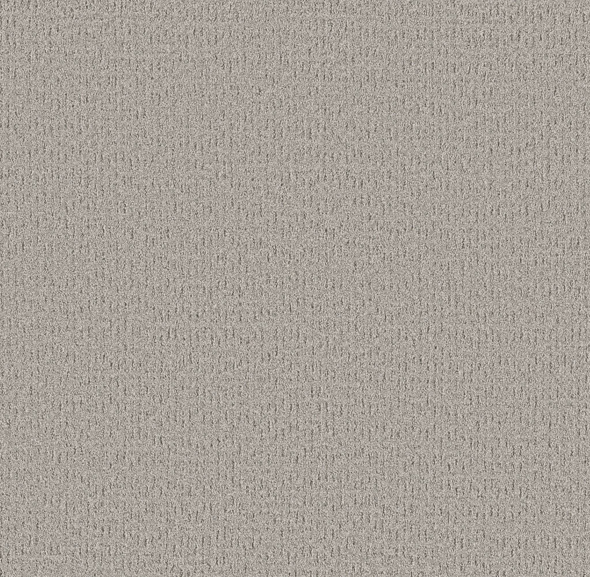 Private Gateway Carpet - Four Winds Zoomed Swatch Image