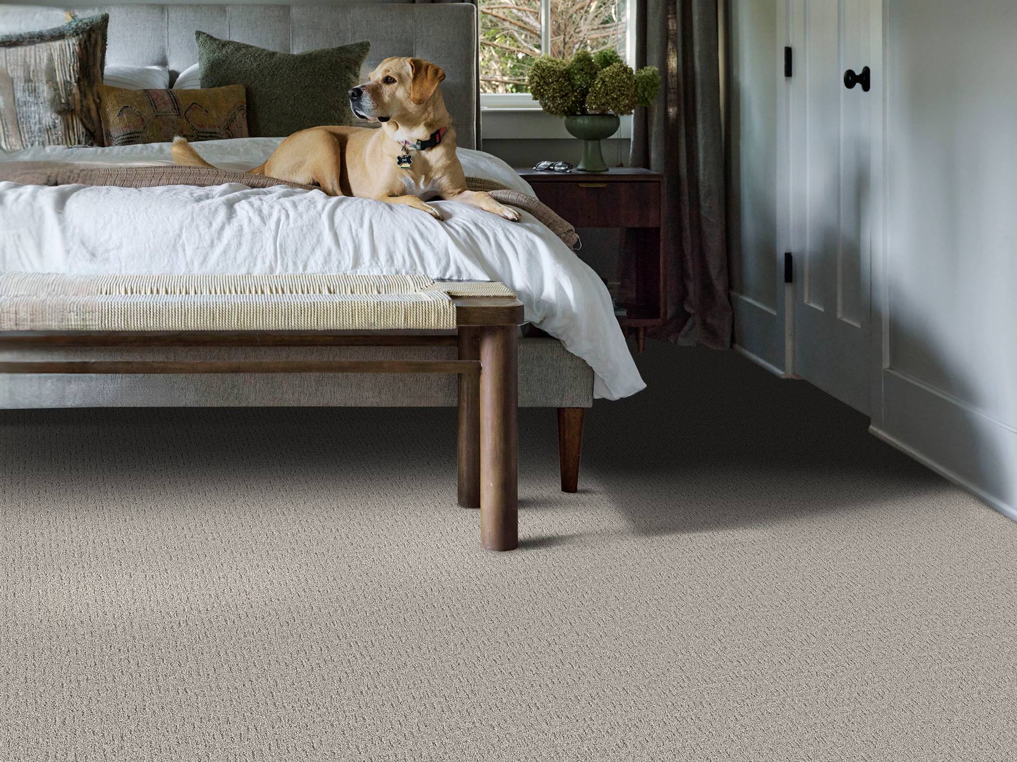 Style - Private Gateway,  Color - FOUR WINDS - Room Scene