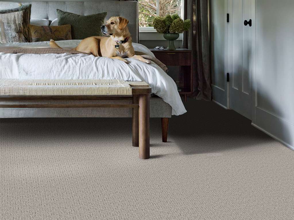 Private Gateway Carpet - Four Winds Room Scene Image